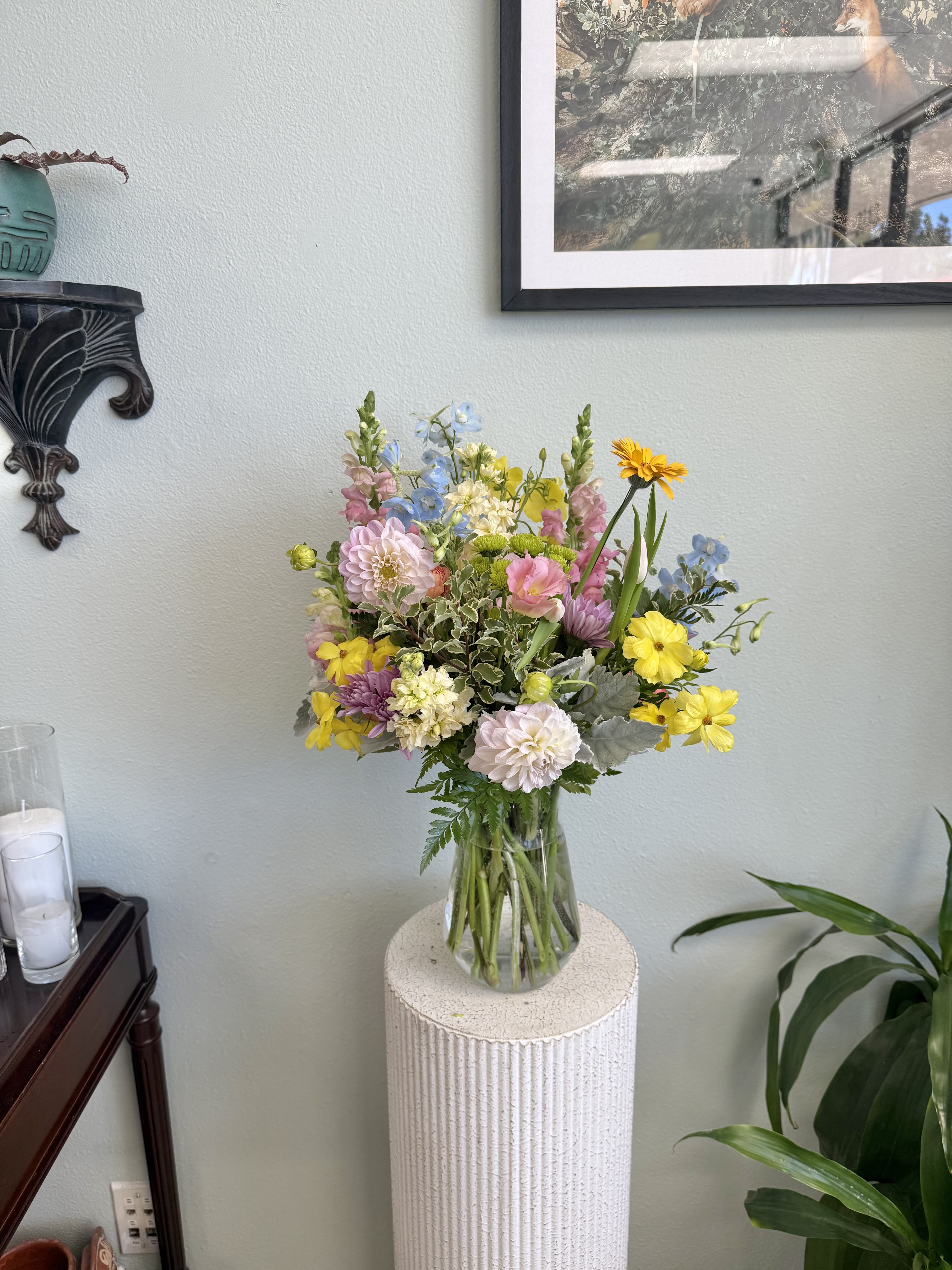 Spring Has Sprung