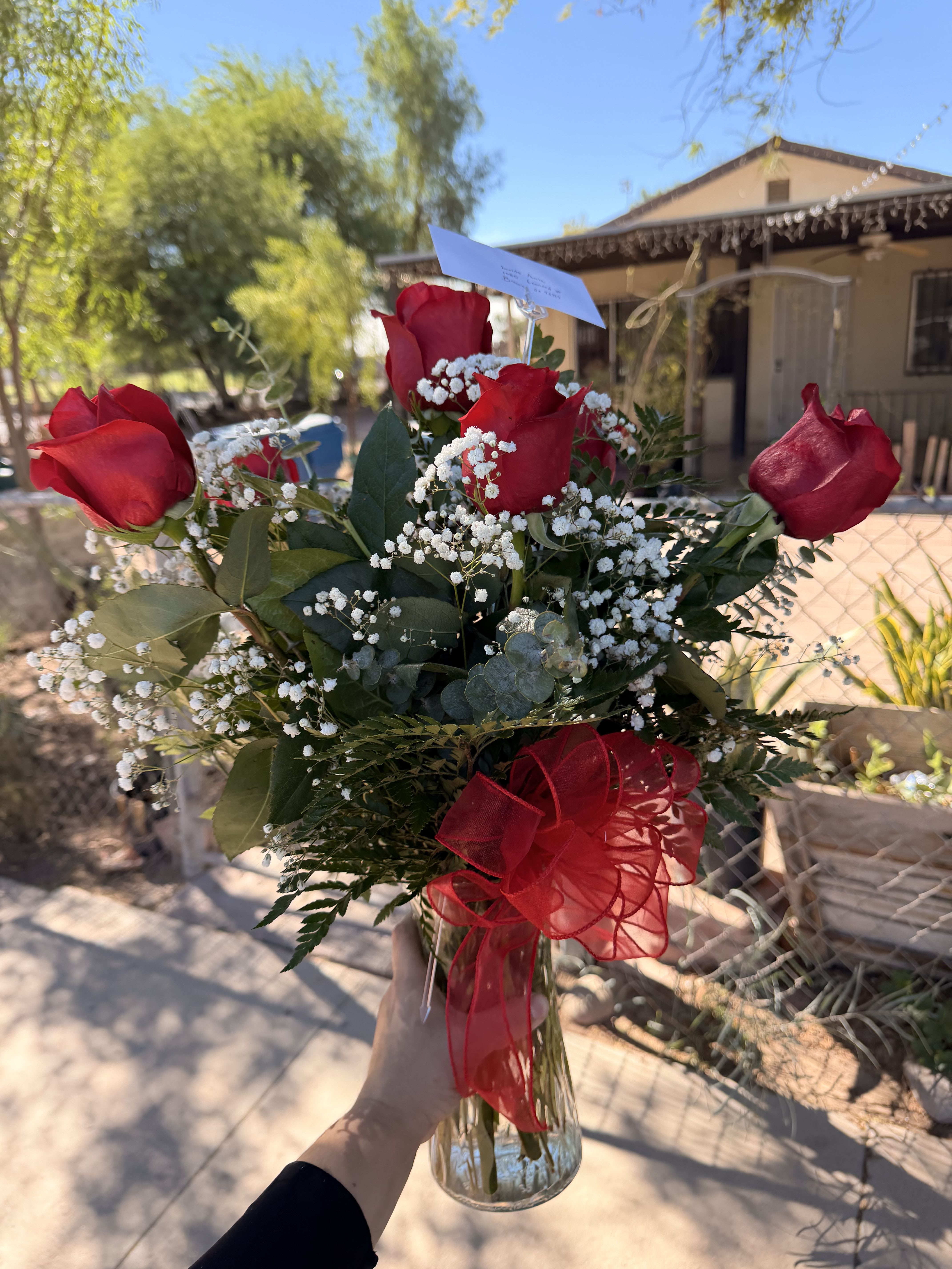 Half dozen red Roses