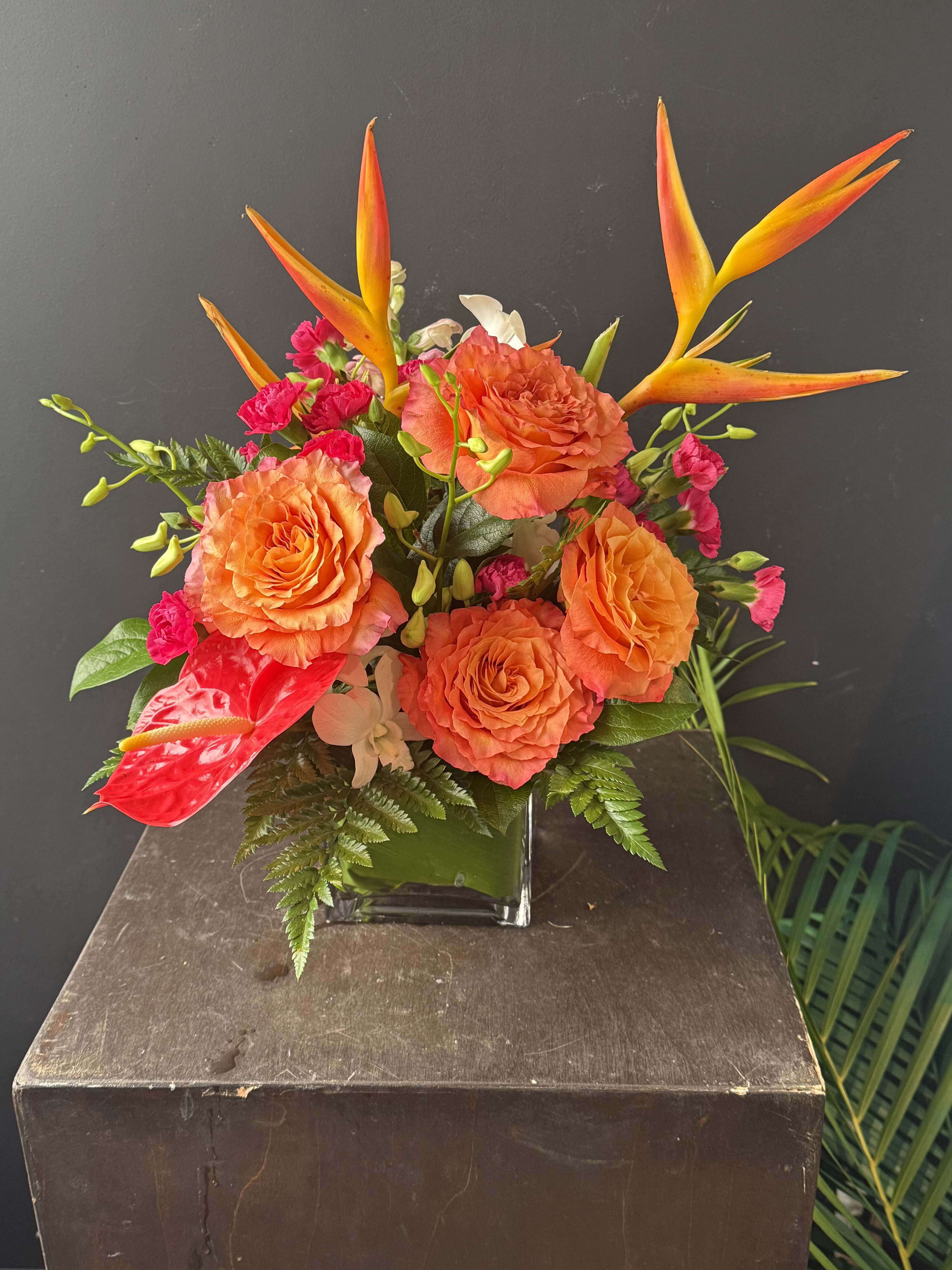 Orange Dream