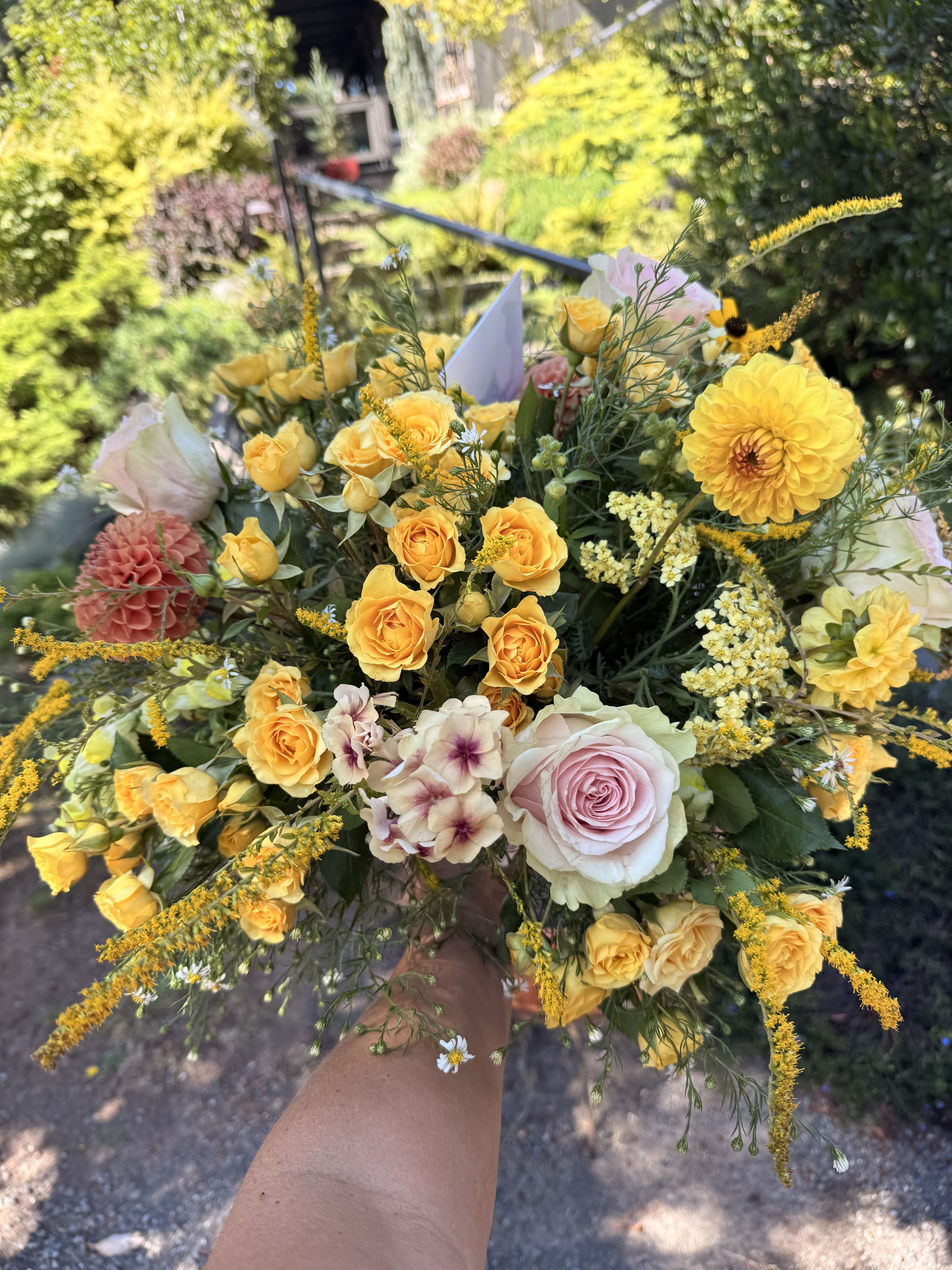 Gold 'N' Rosy