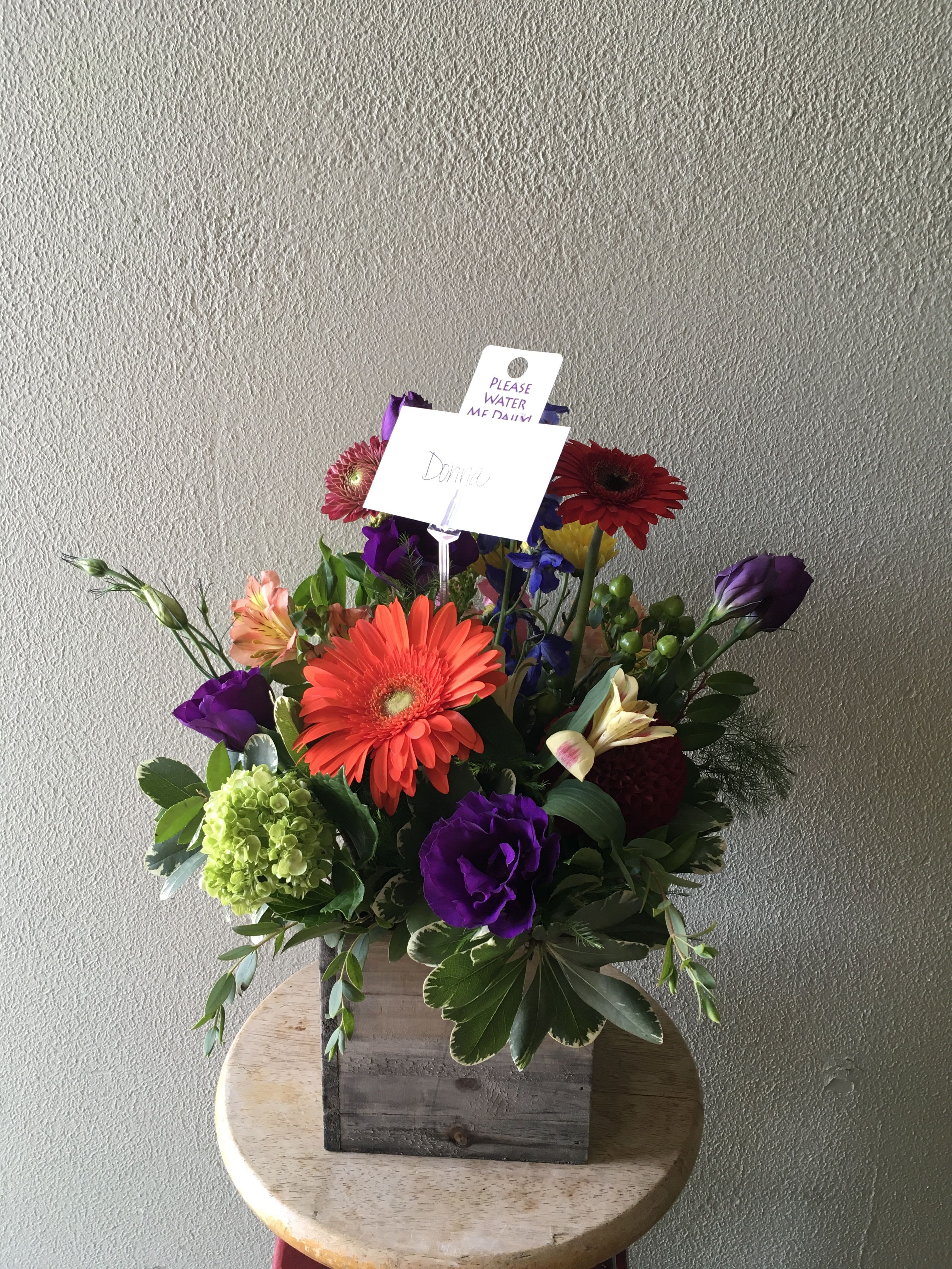 Wildflower whimsy designers choice.