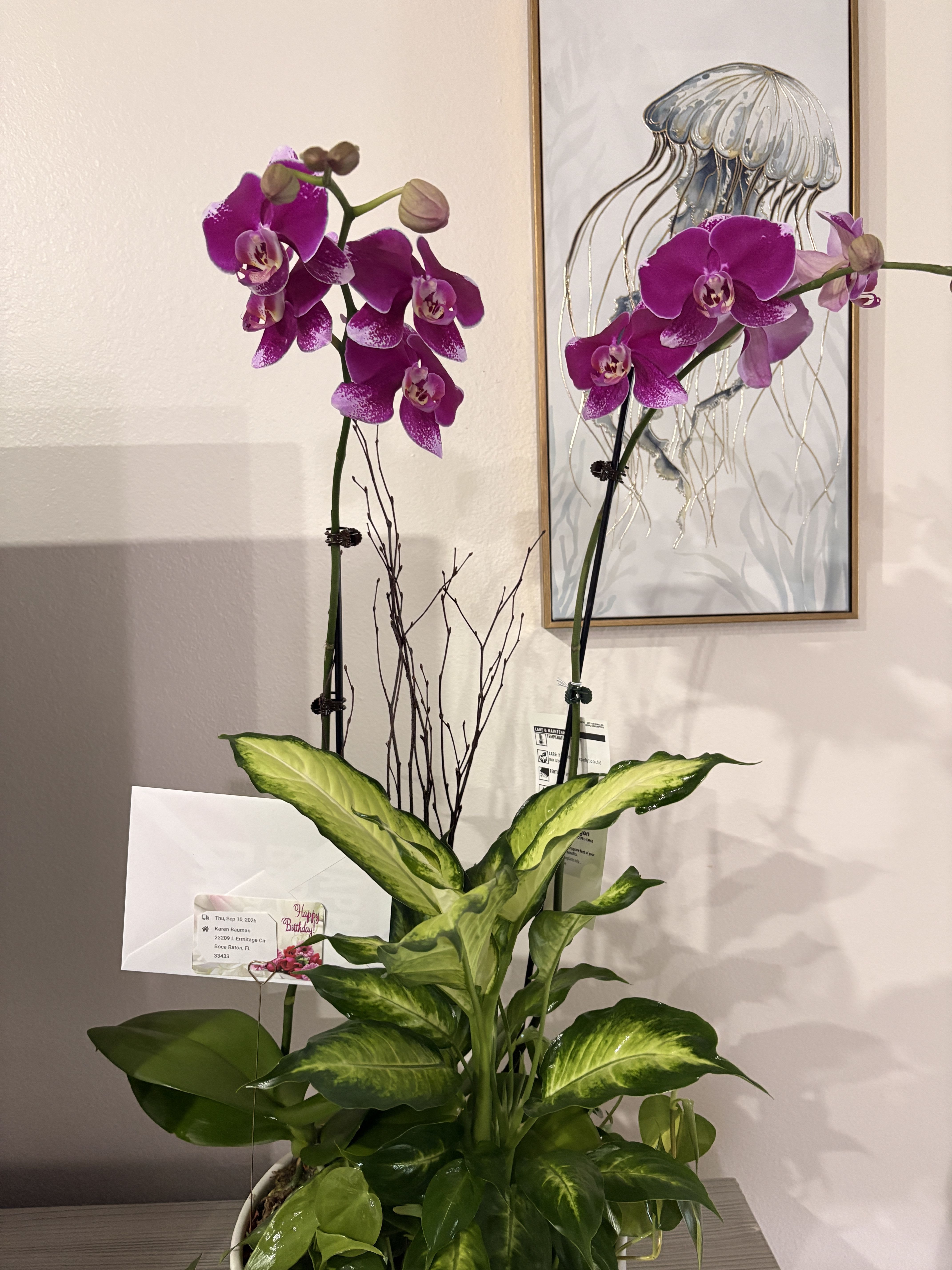 Two Stem Orchid Planter by BloomNation™