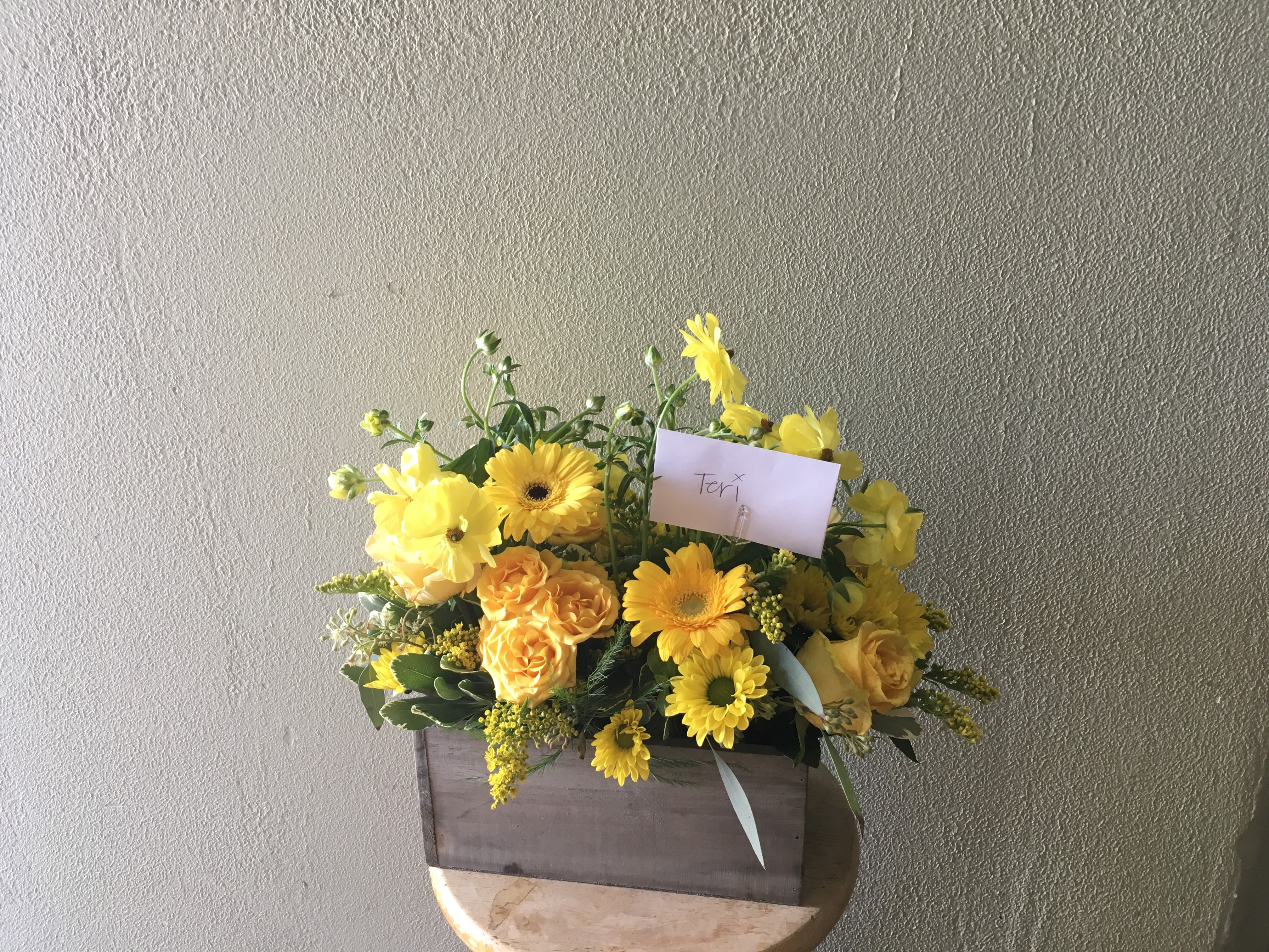 A Box of Sunshine