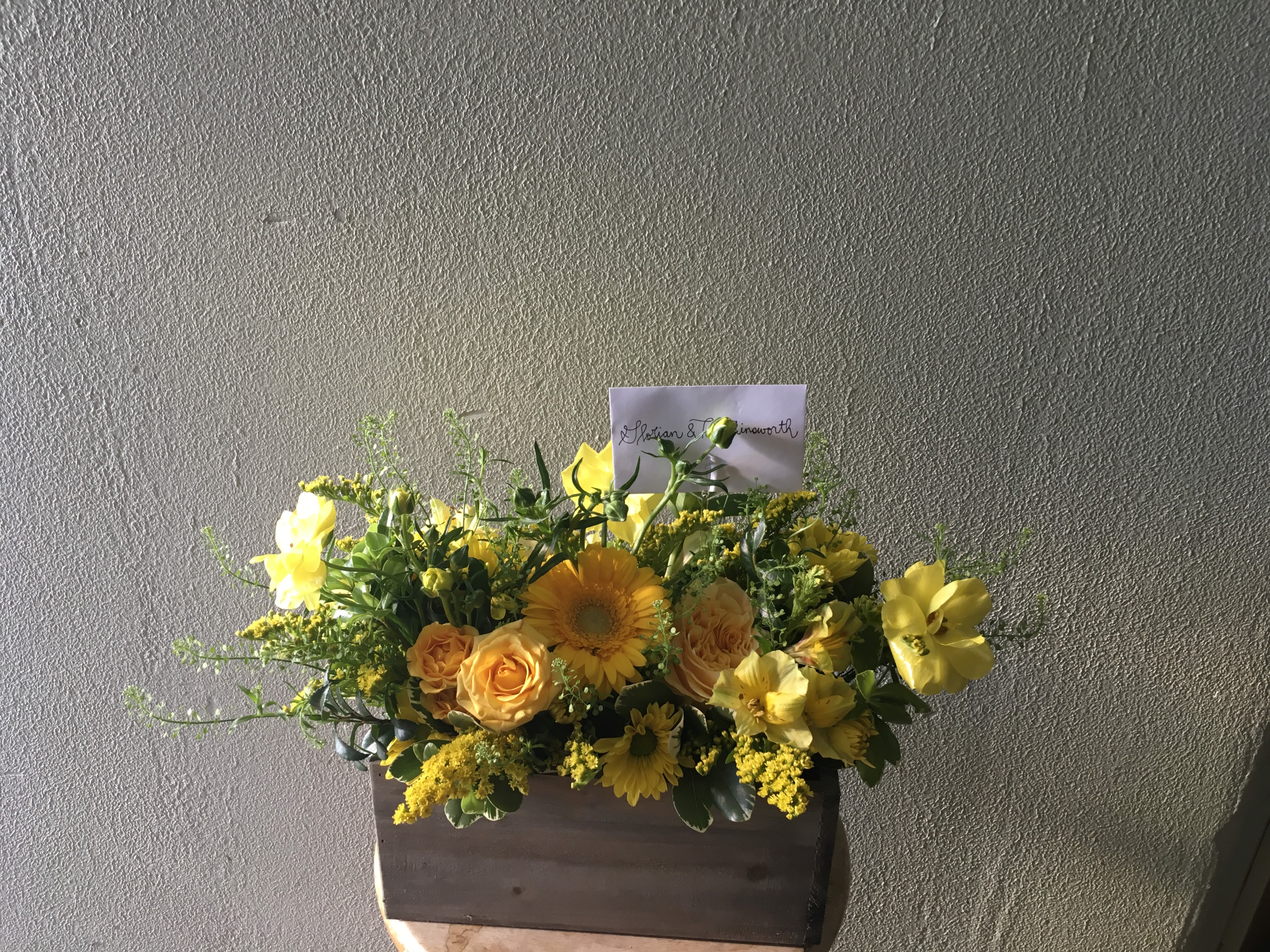 A Box of Sunshine
