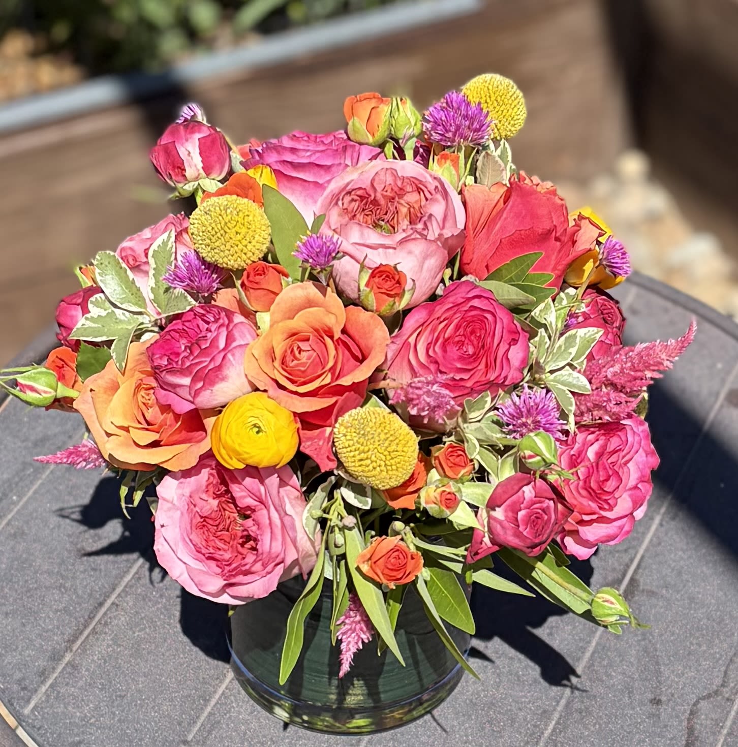 Vibrant Blooms