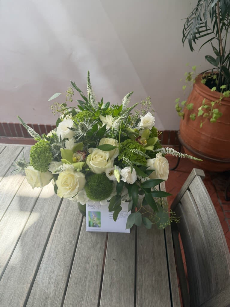 White Stars Arrangement: A Celestial Elegance in Blooms