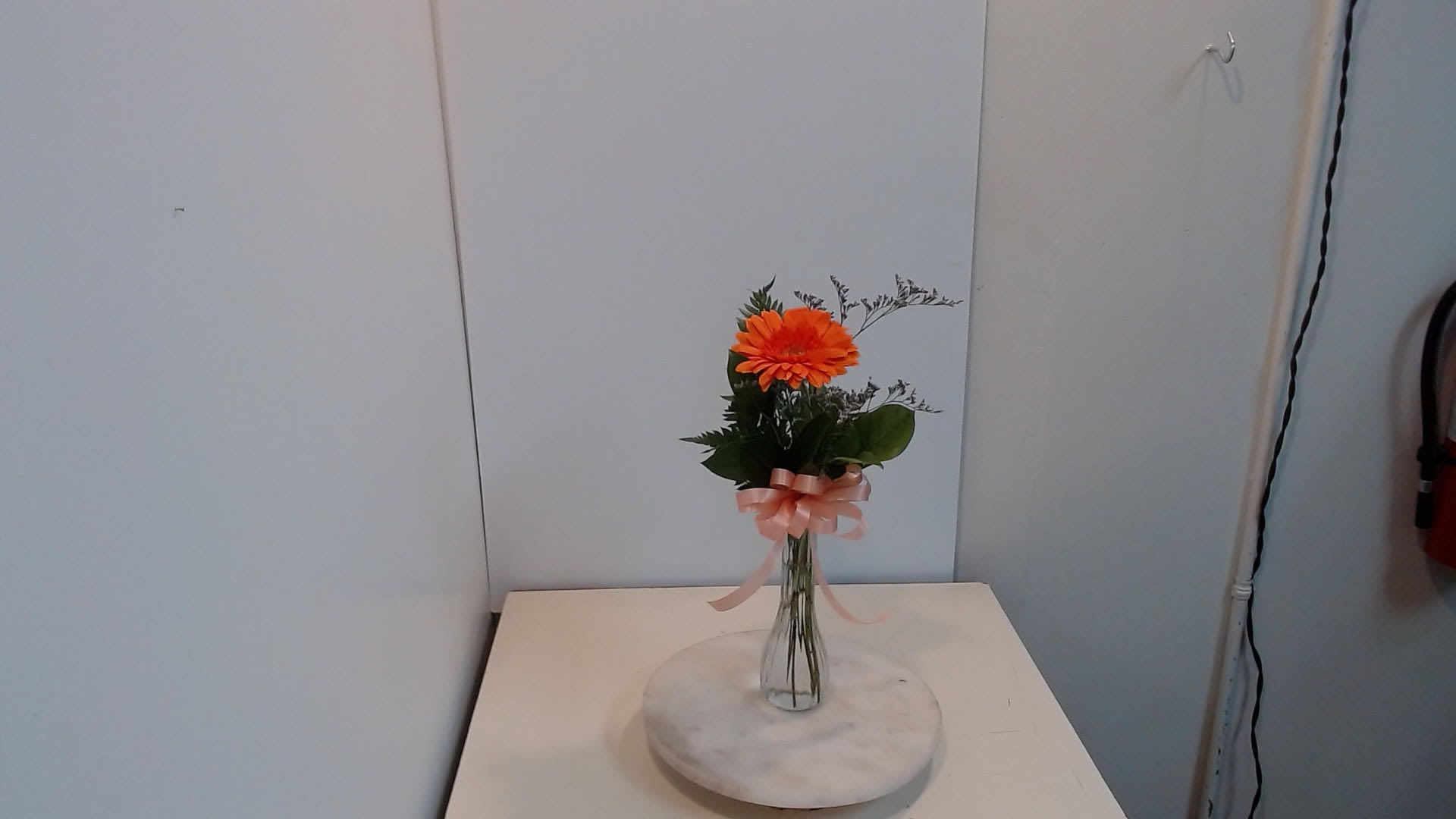 Gerbera In Vase