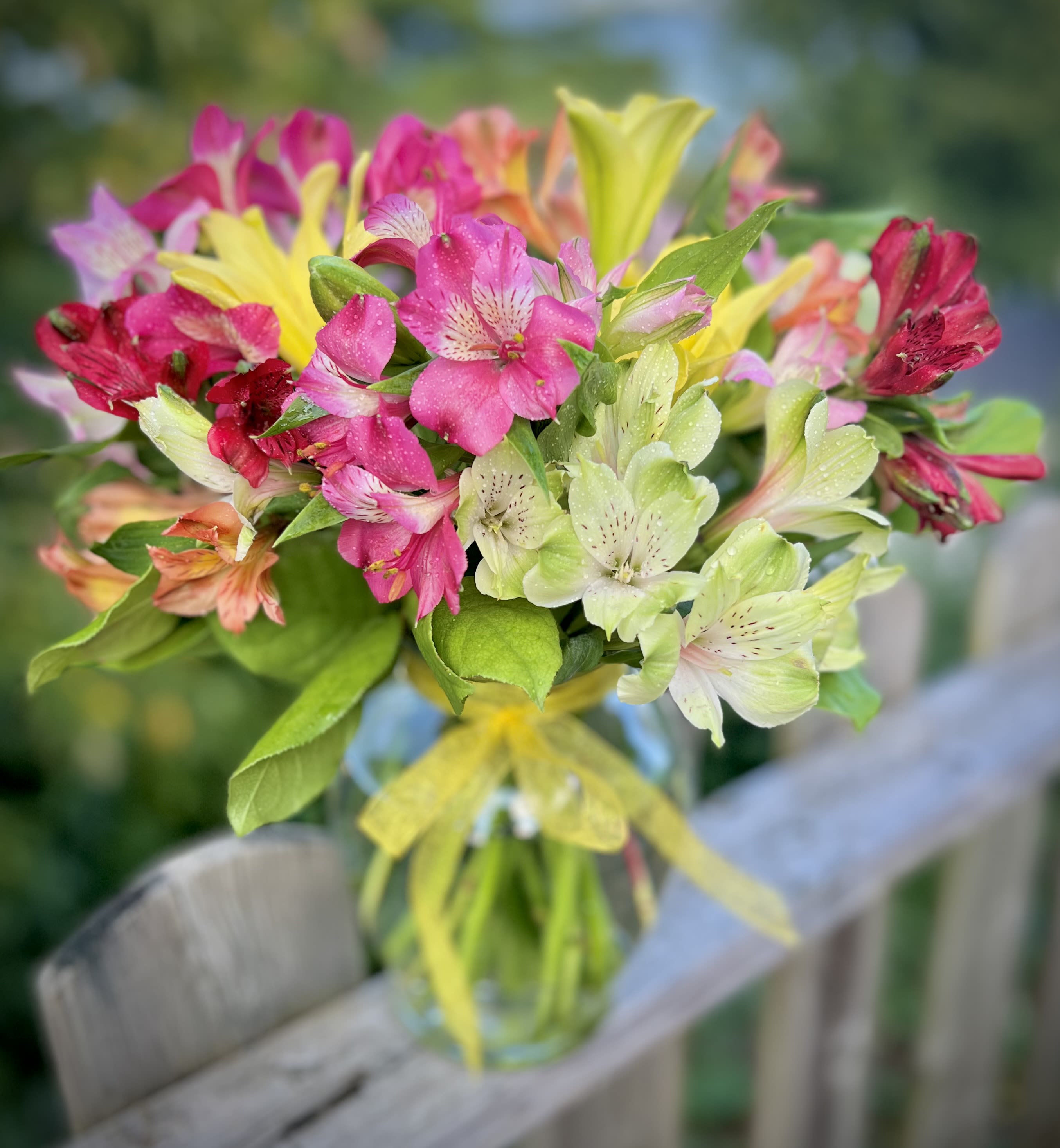Amazing Alstroemeria by BloomNation™