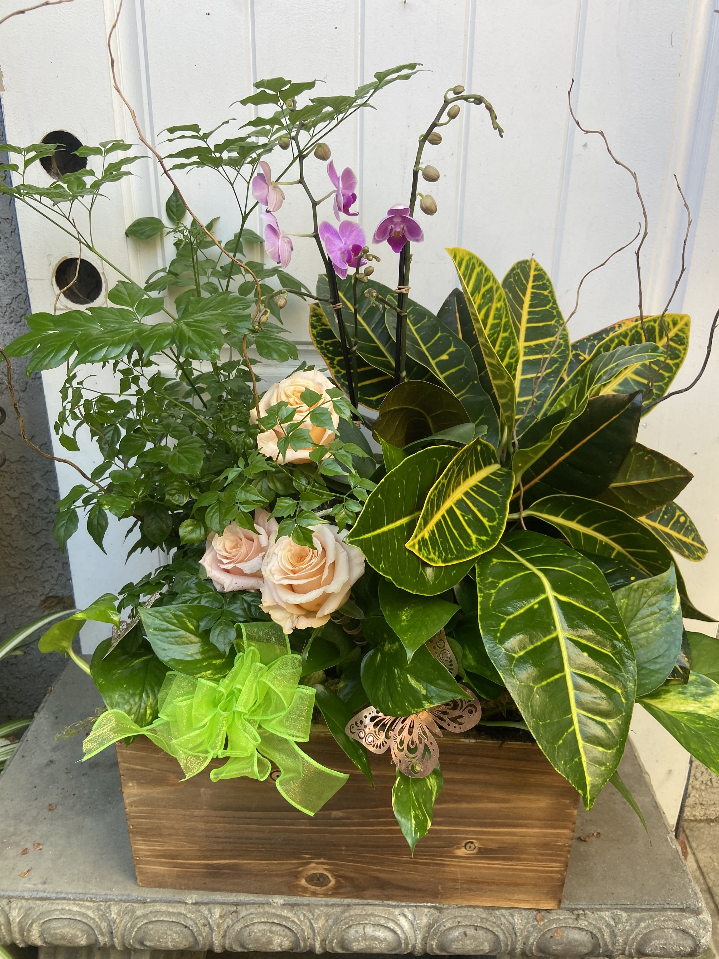 Growing Affection Planter