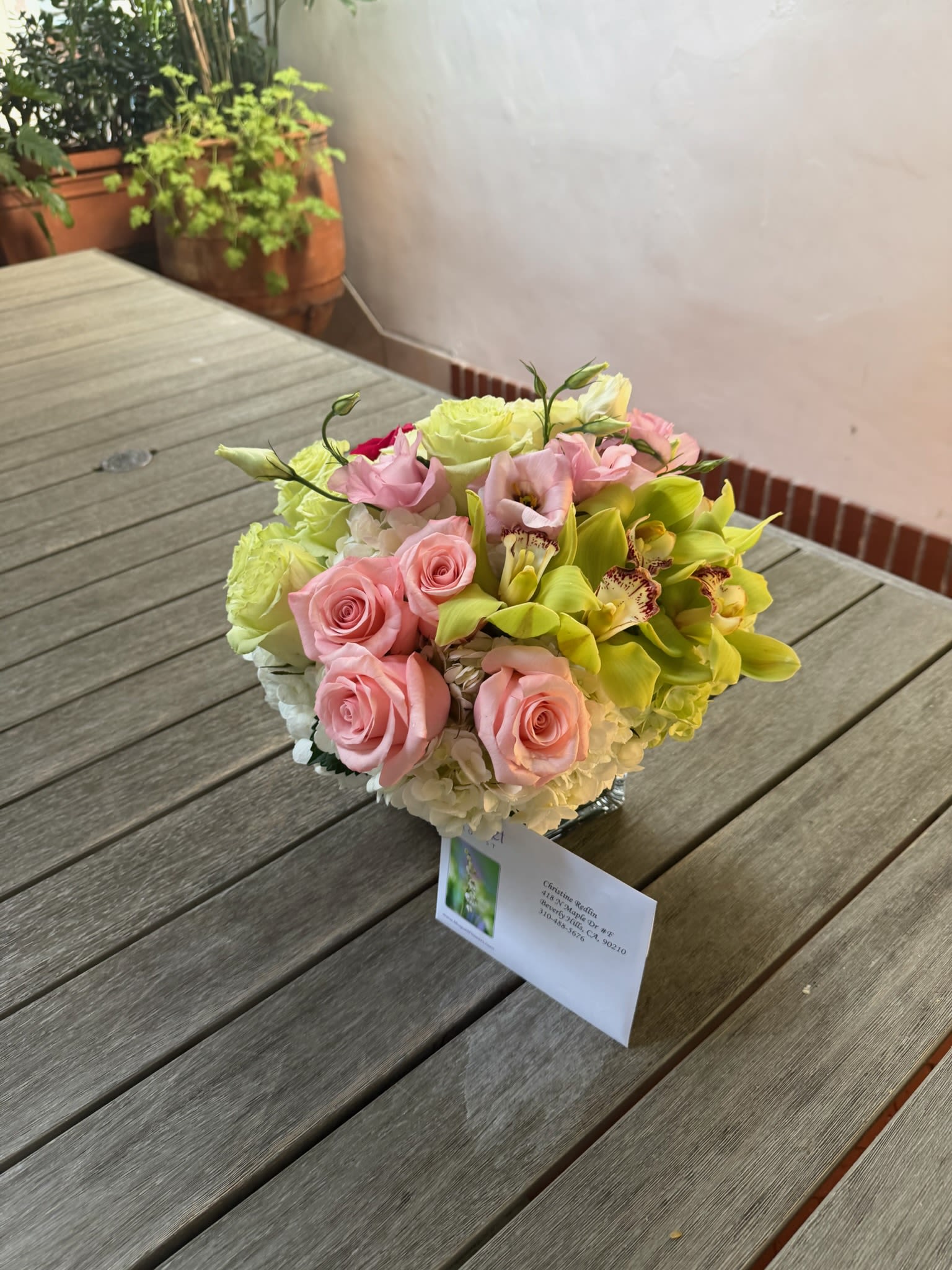 Cymbidium Rose Delight: A Fusion of Elegance and Beauty