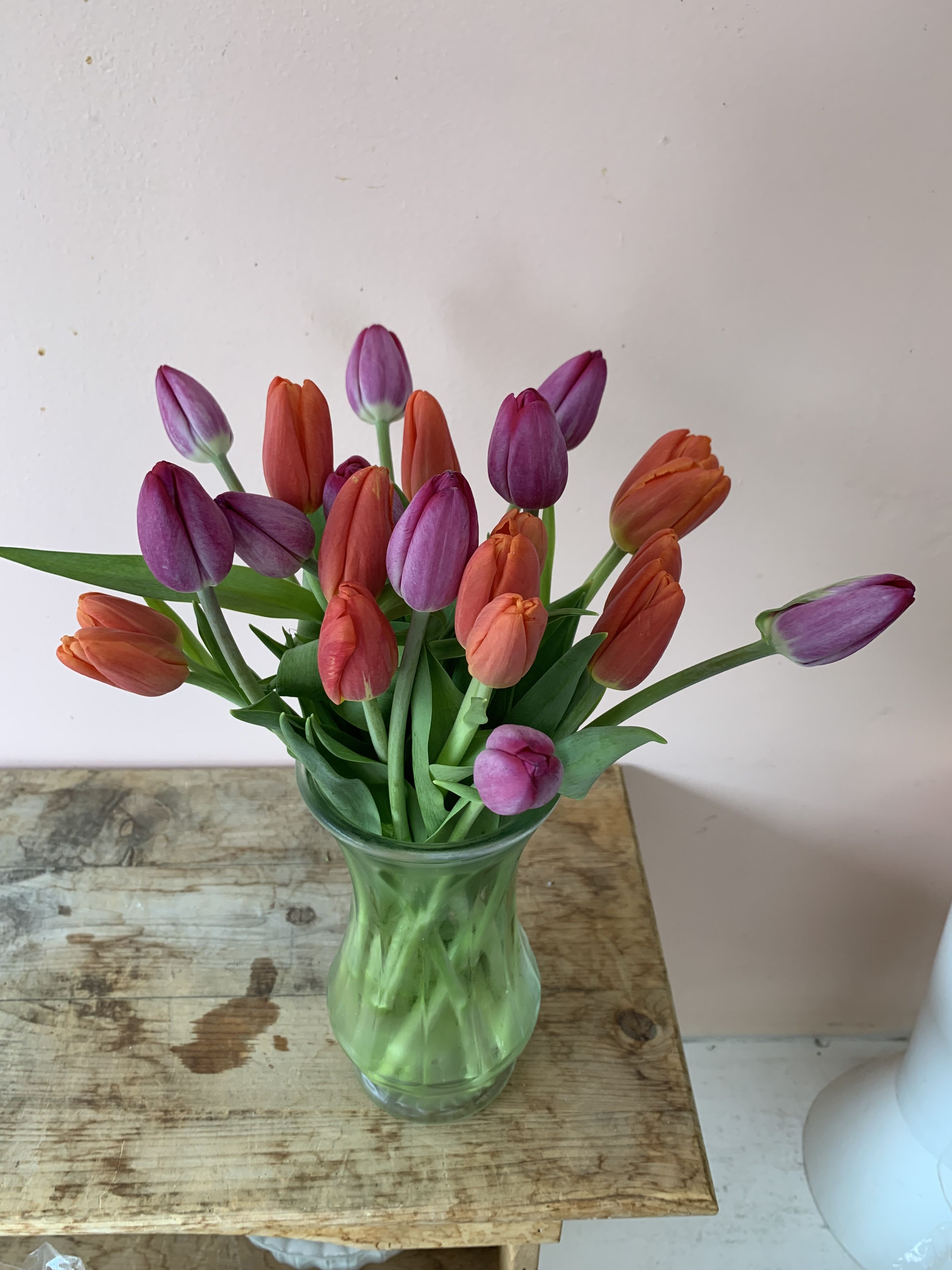 Field of Tulips - 20 Orange and Purple Tulips in clear glass vase - F03-44