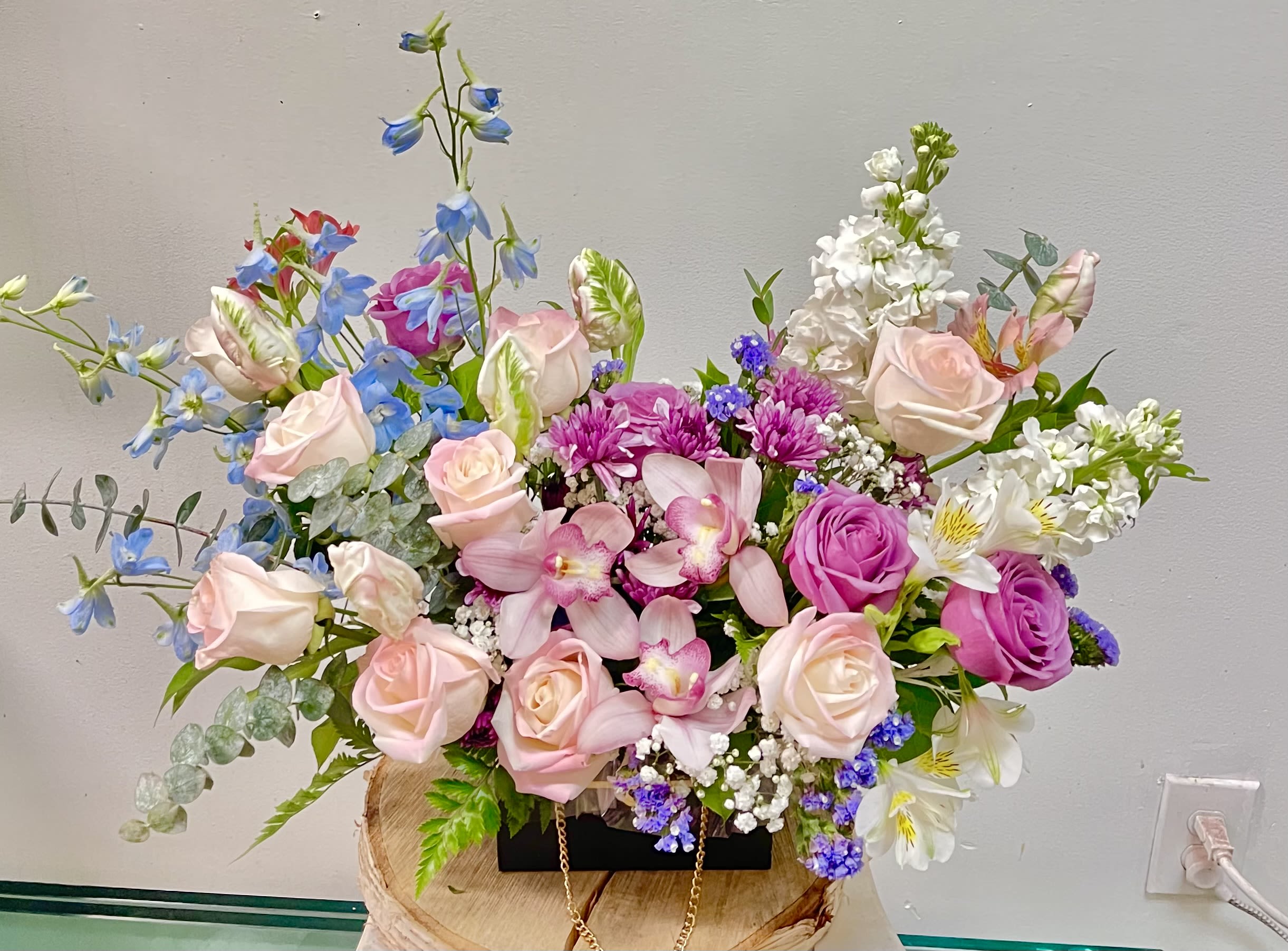 Dreamland