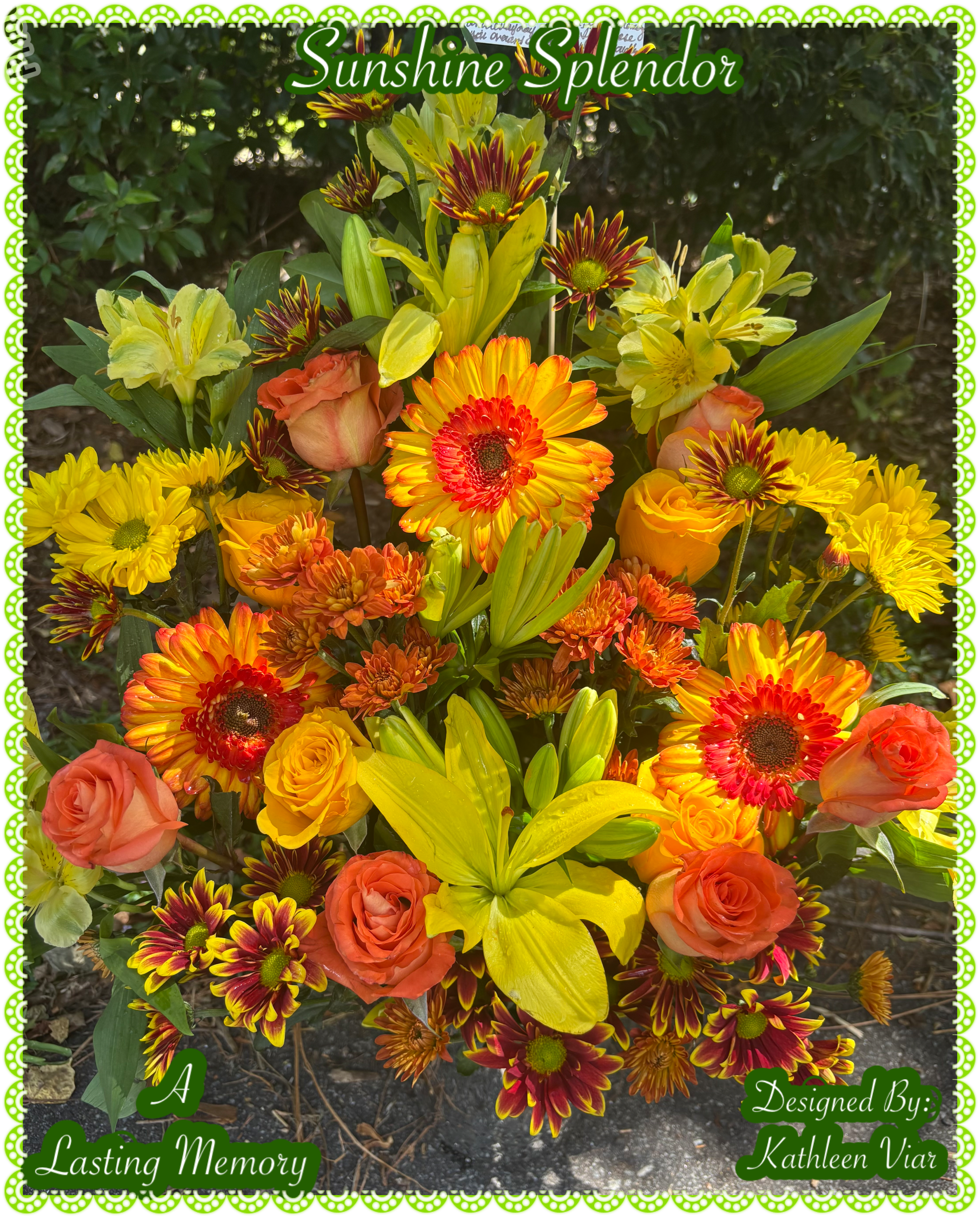 Sunshine Splendor