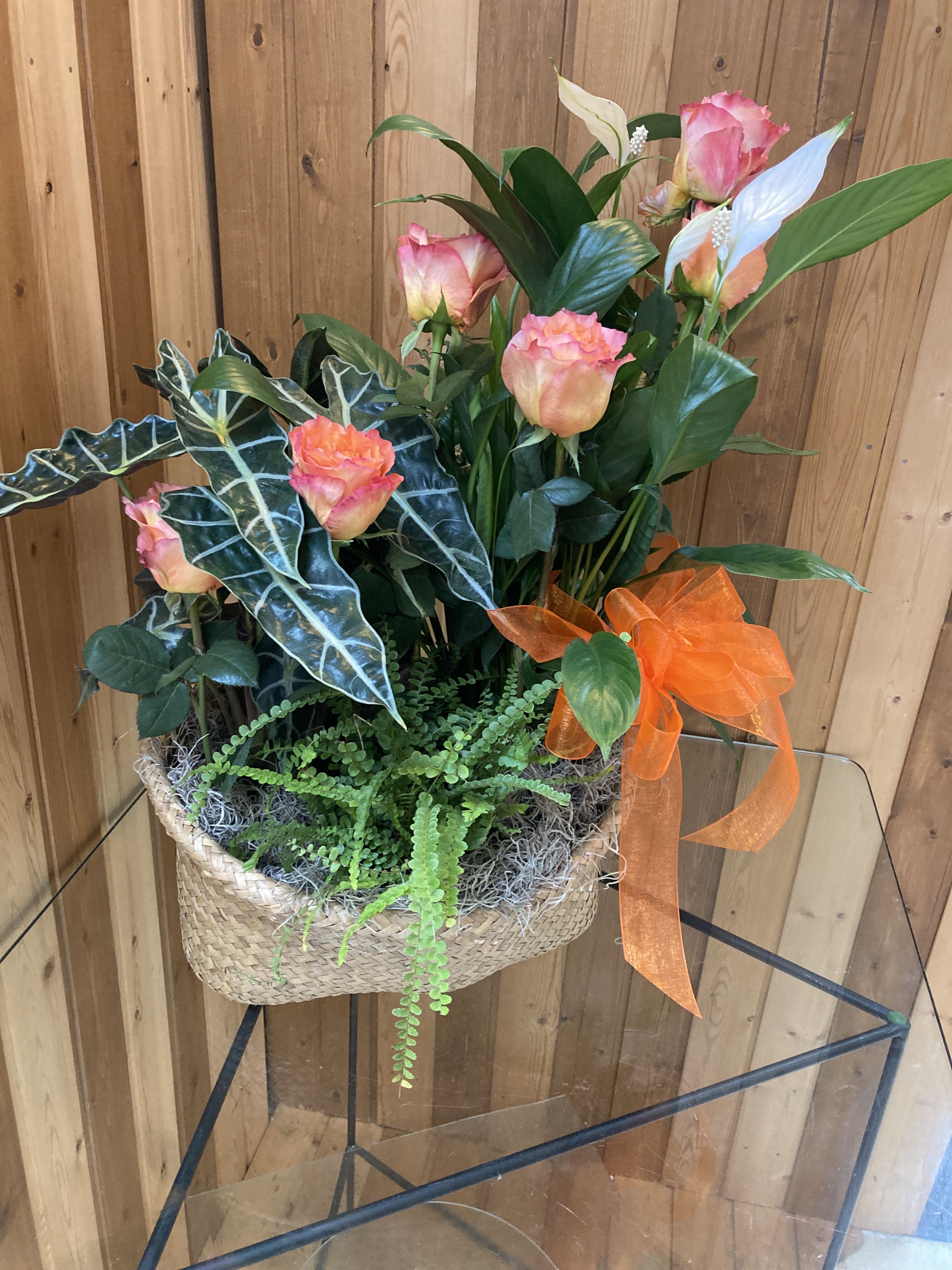 Planter & Roses