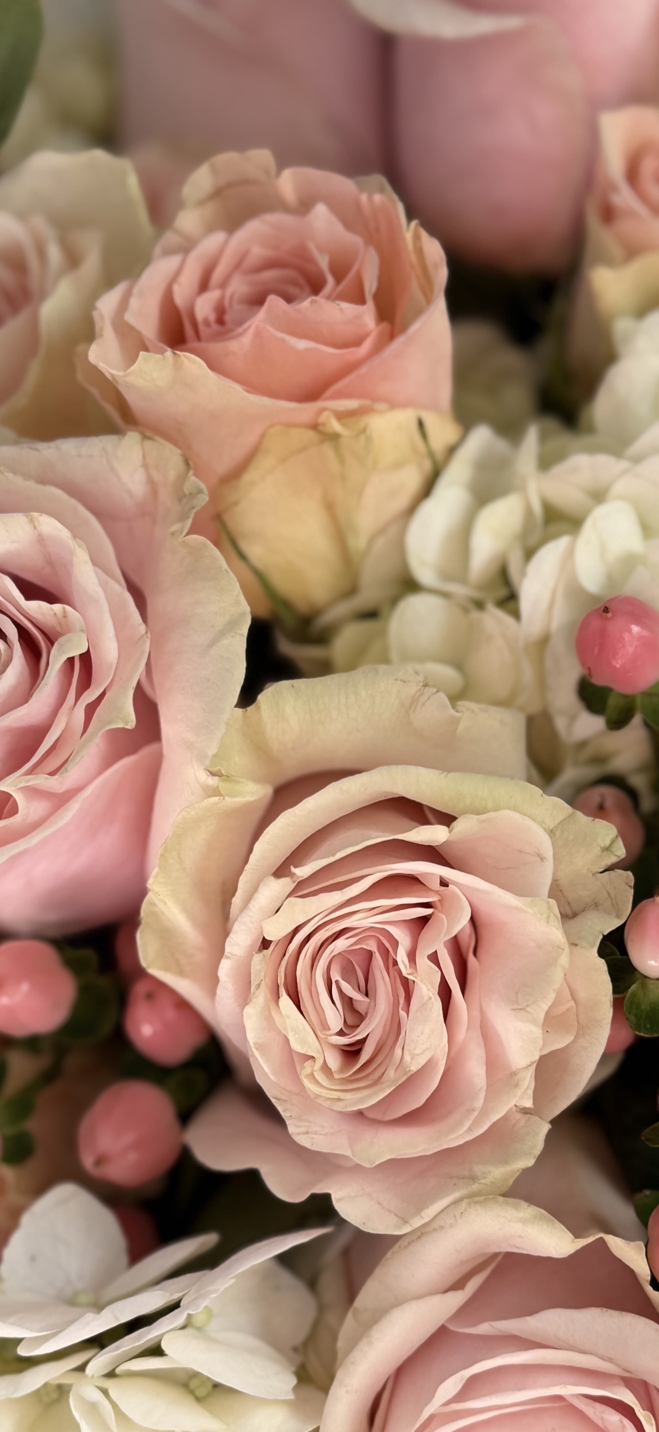Elegant by BloomNation™