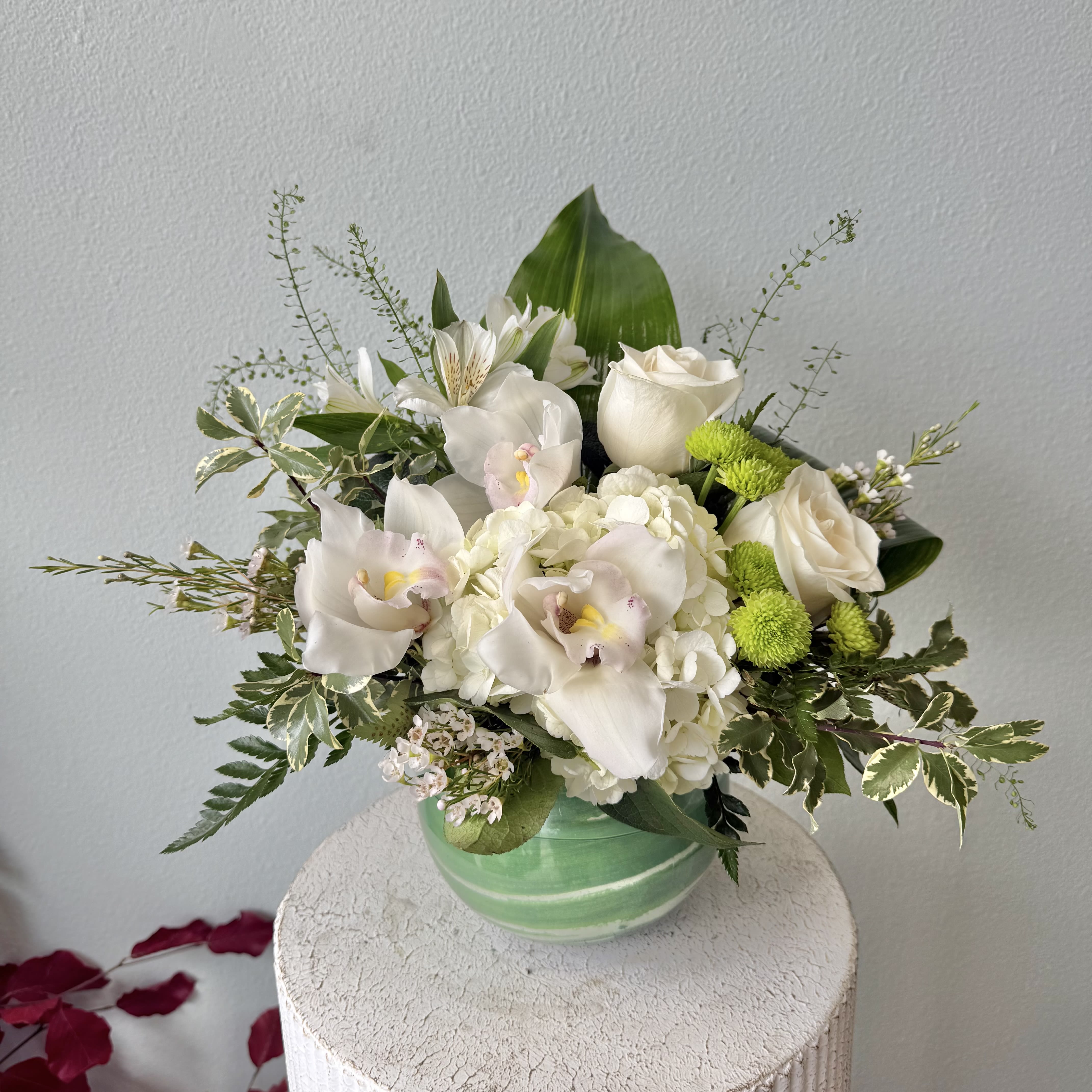 Calm Tropics