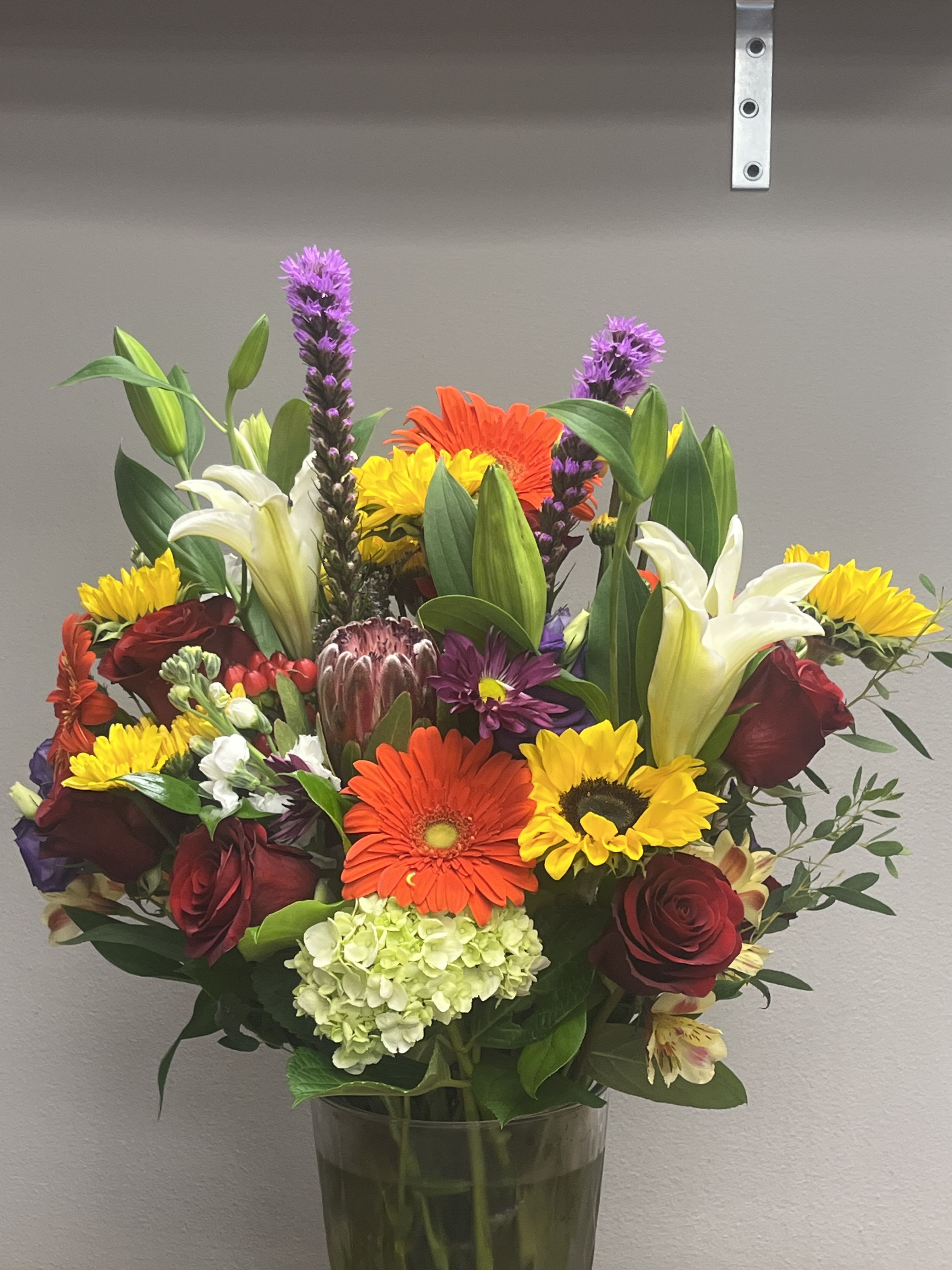 Designer's Choice - Bright and Bold Plus