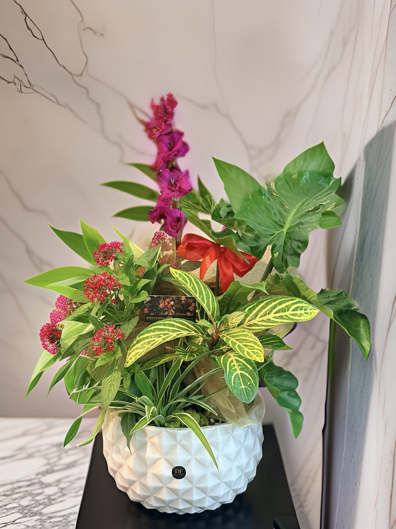 Evergreen Dish Garden