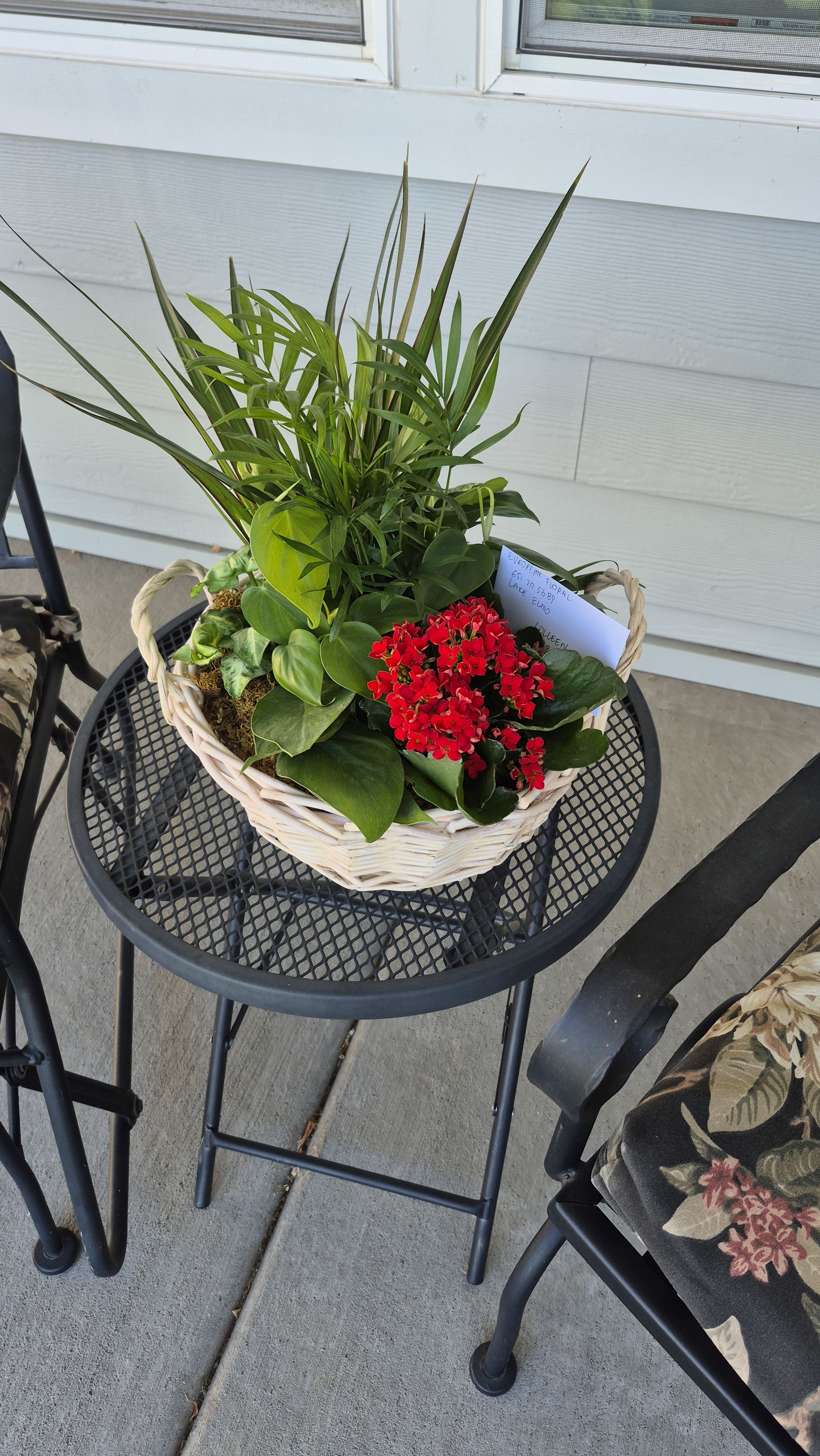 Mixed Plant Basket by BloomNation™