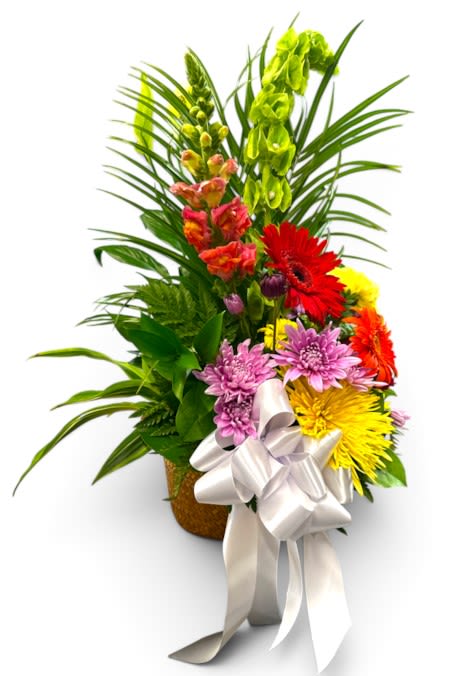 Premium Hope's Garden Plant and Fresh Flower Basket 