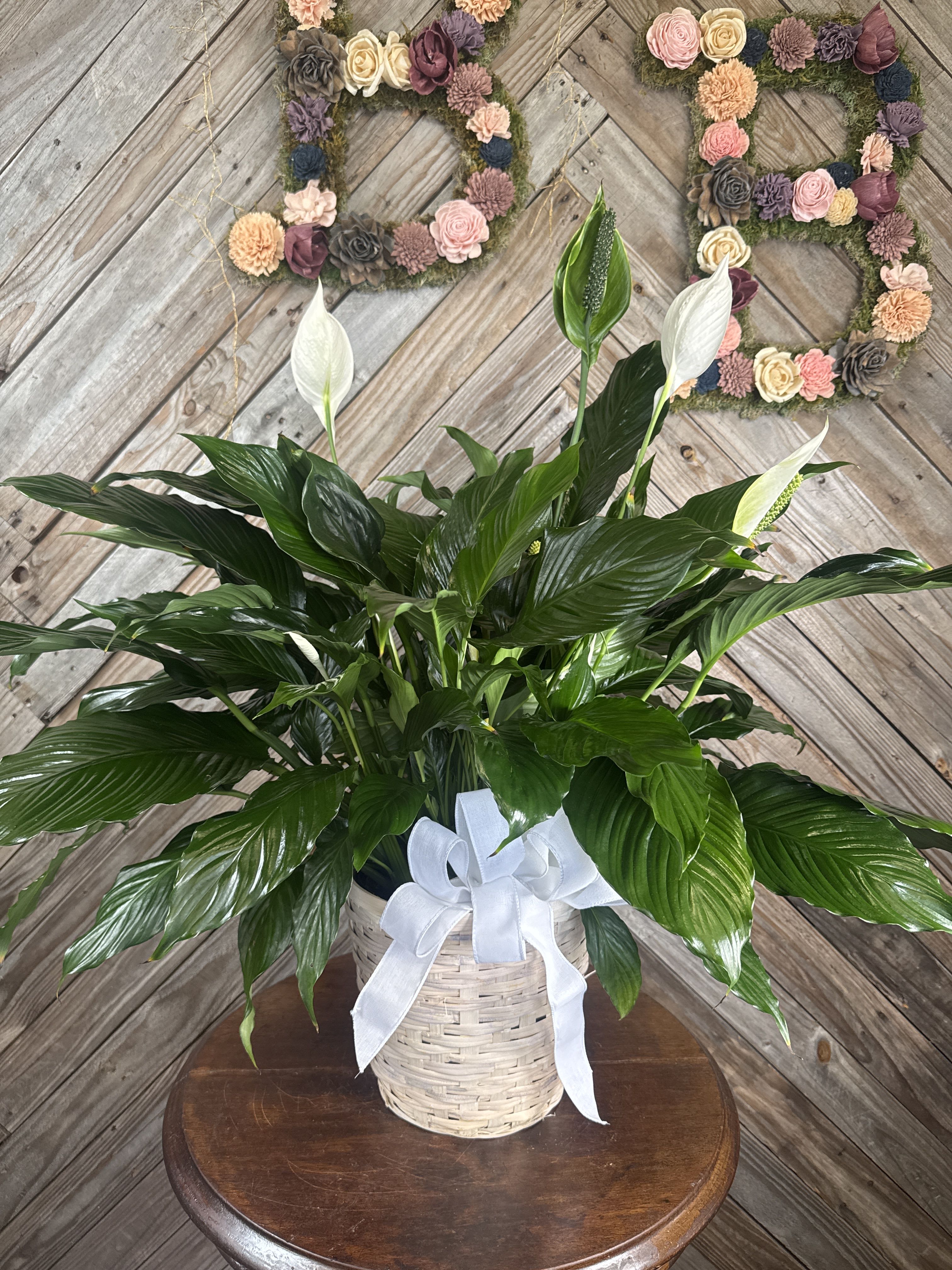 Heartfelt Peace Lily (Spathiphyllum Plant)
