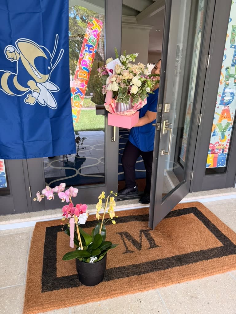 TRIPLE ORCHID ARRANGEMENT WITH SUCCULENTS