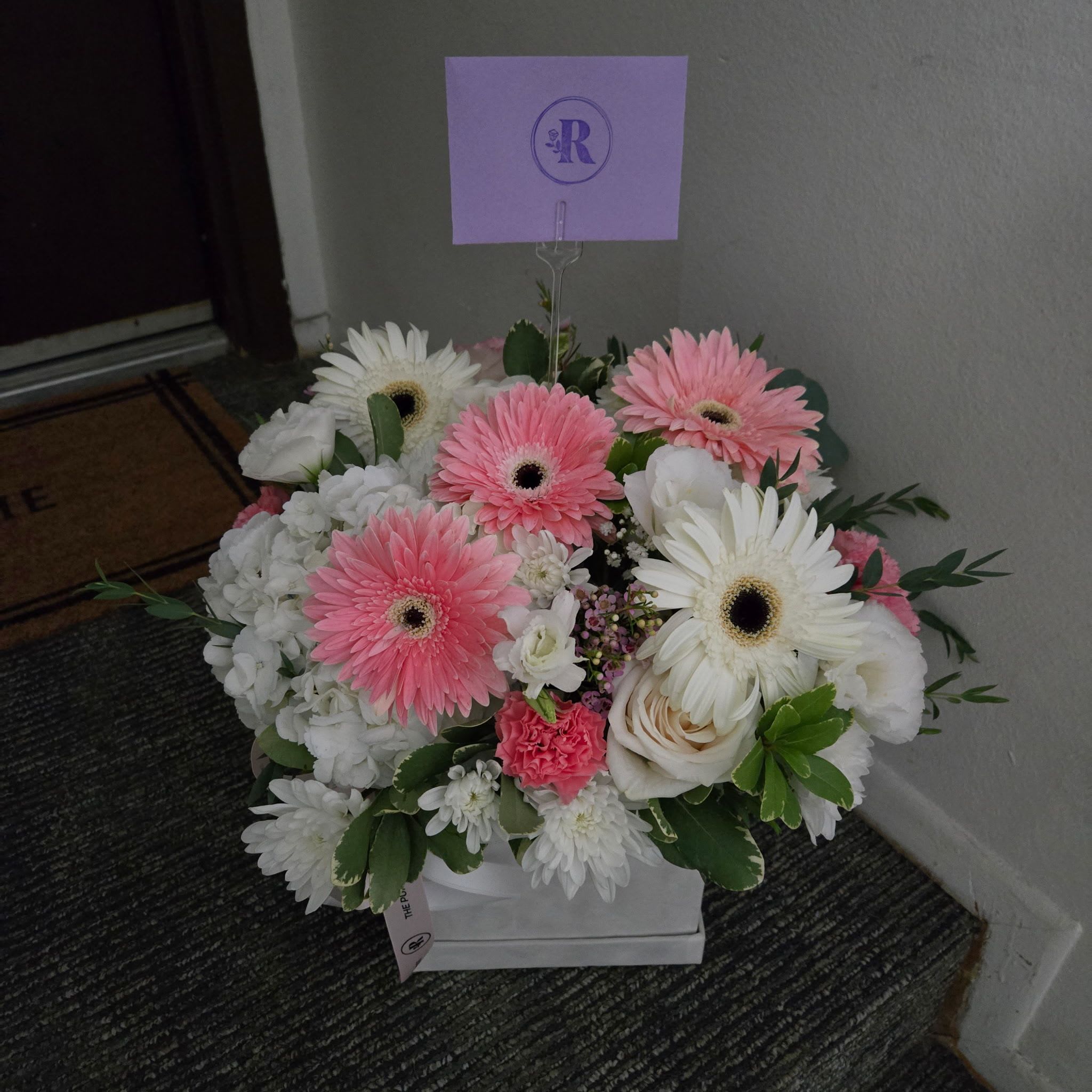 Gerberas 