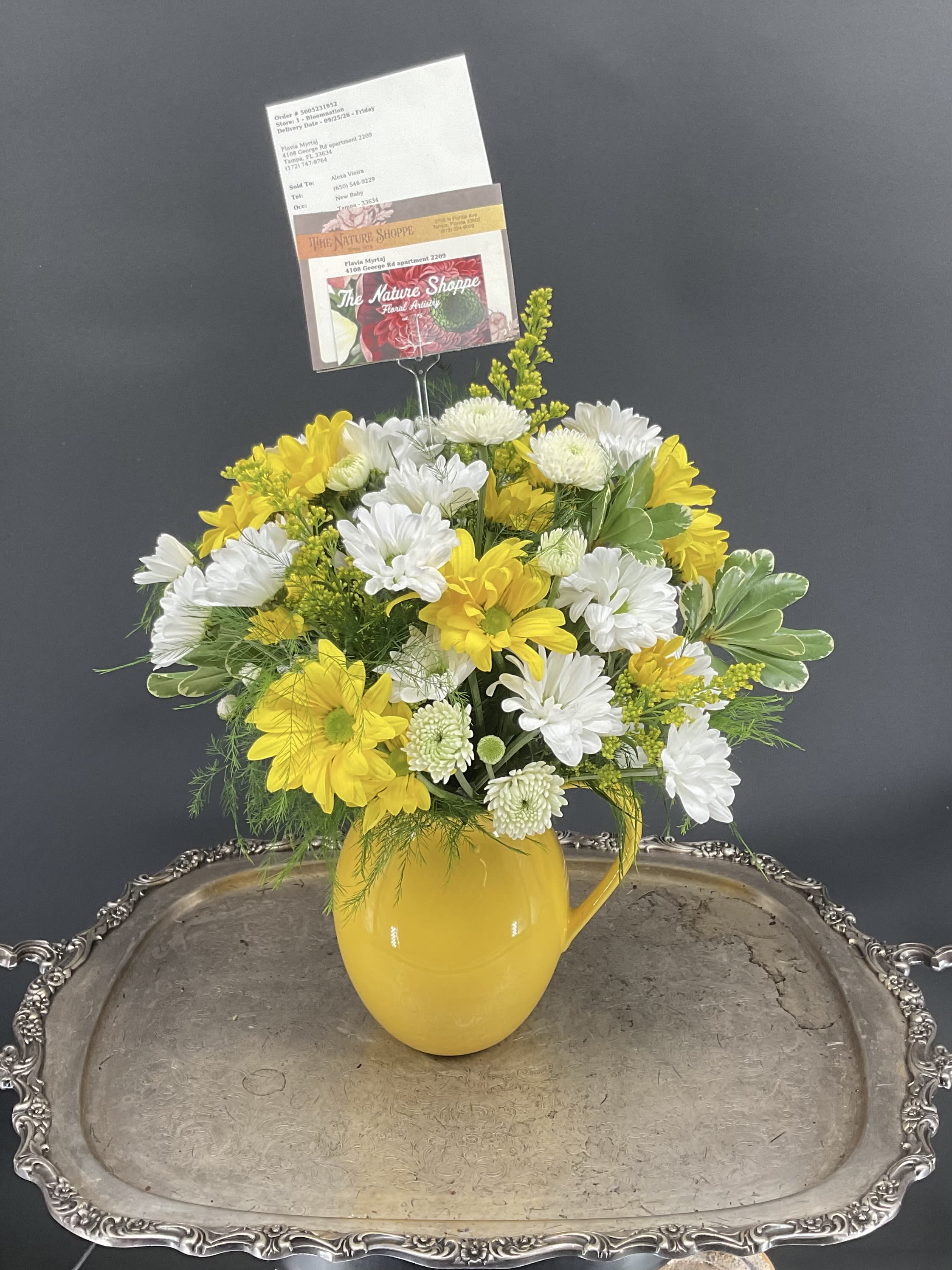 Sunny Pitcher of Daisies