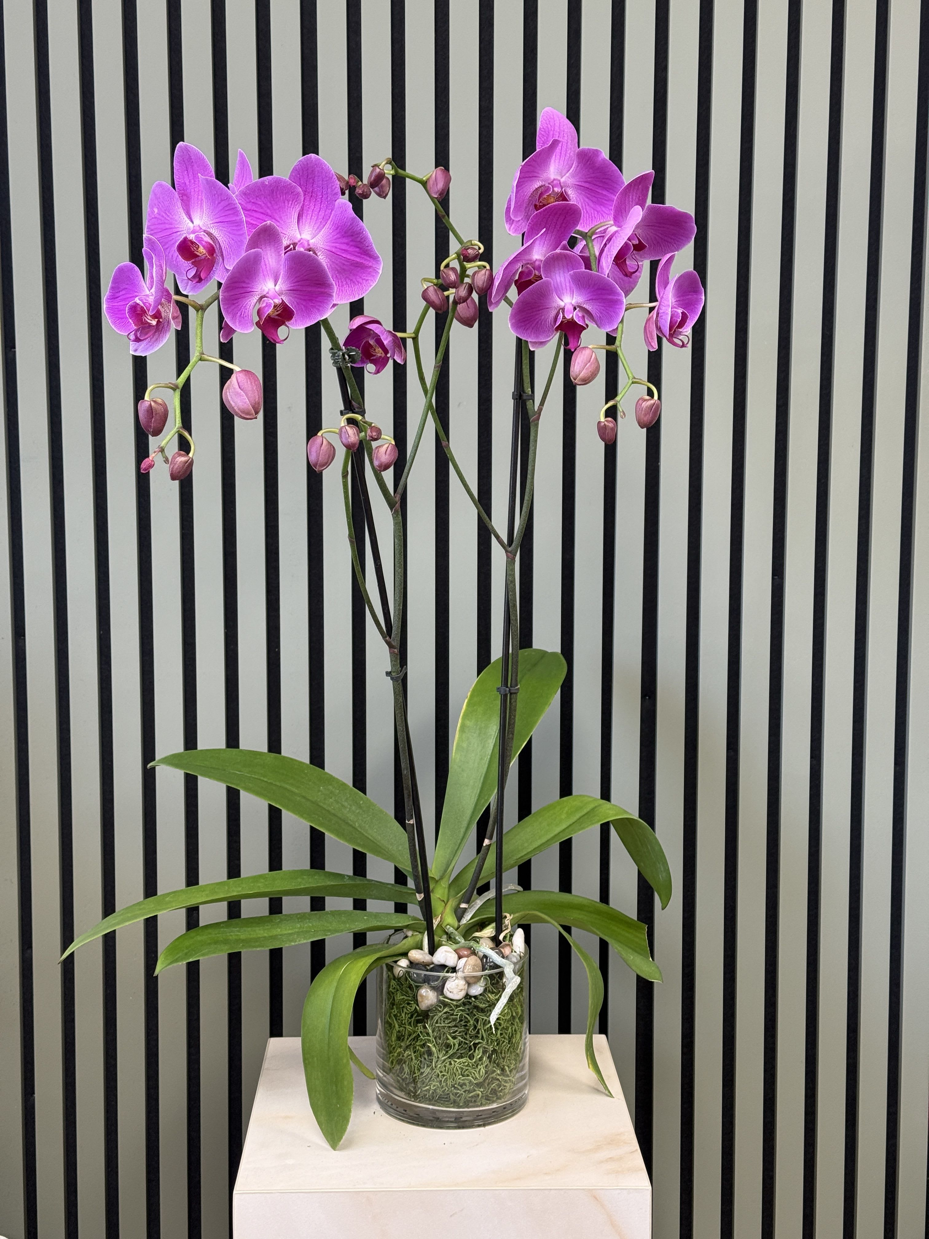 Royal Elegance by The Flower Spot™