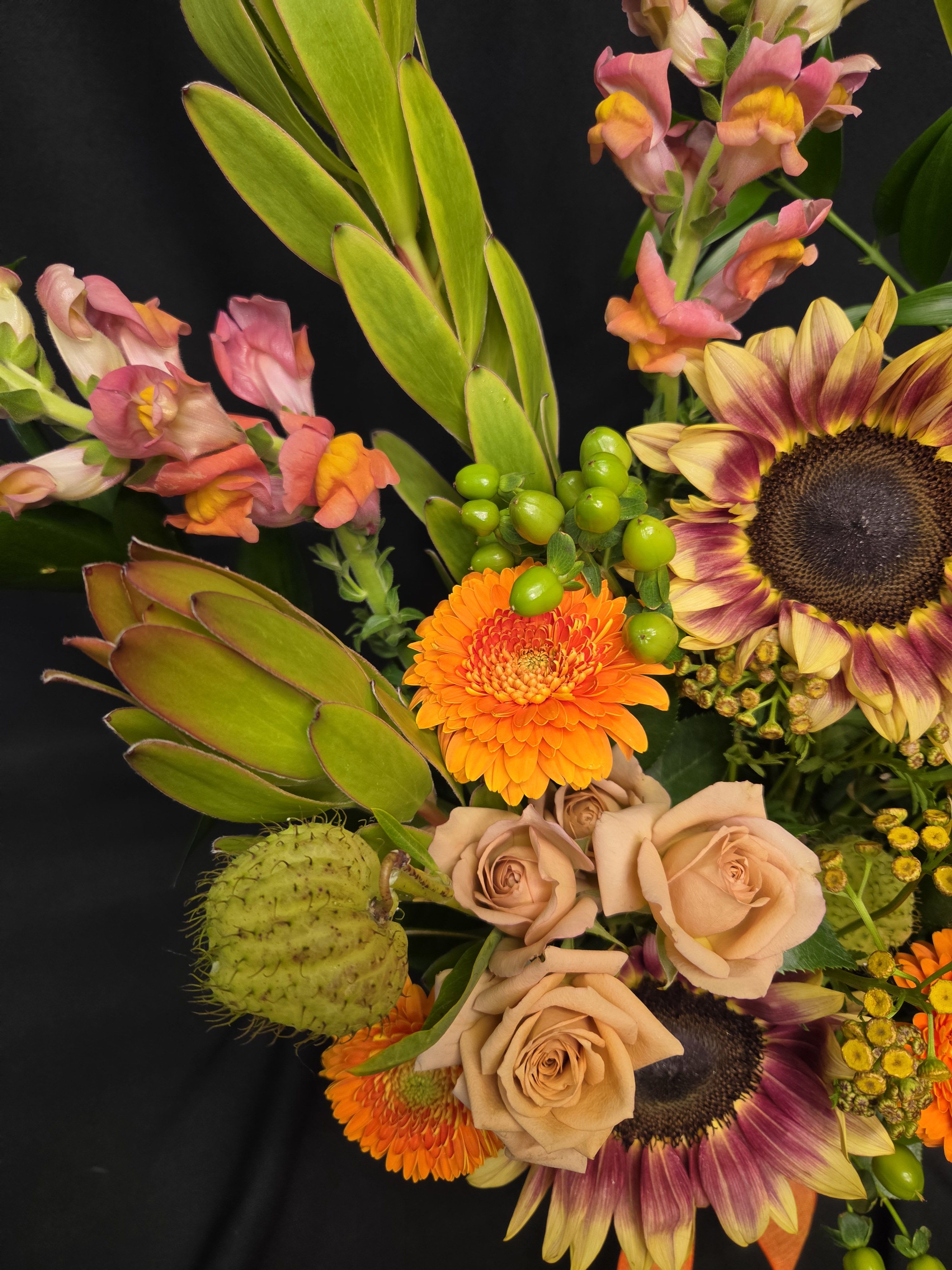 Kangaroo paw bright mix with sunflowers