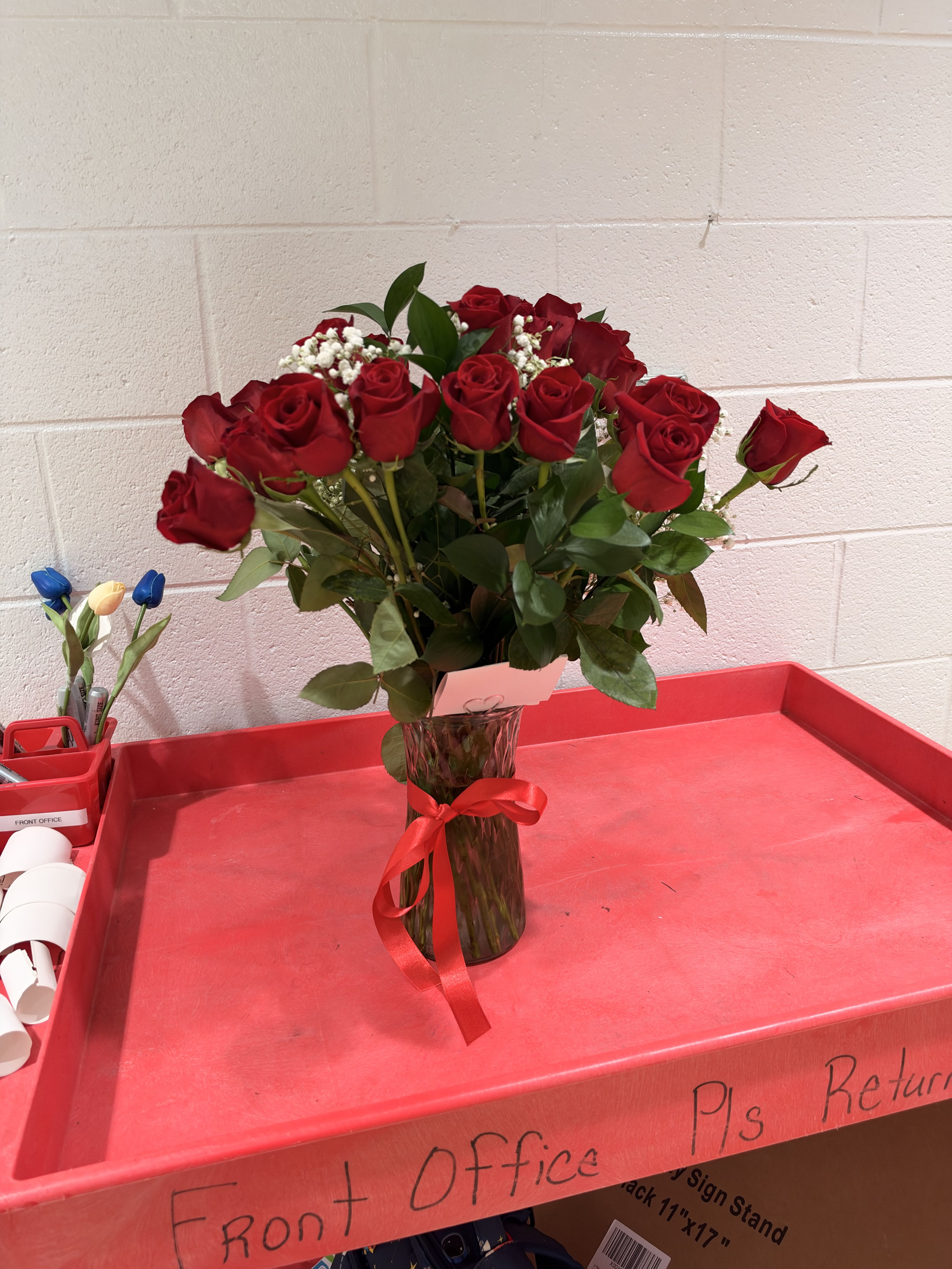 Dozen Long Stemmed Red Roses with Baby's Breath by BloomNation™