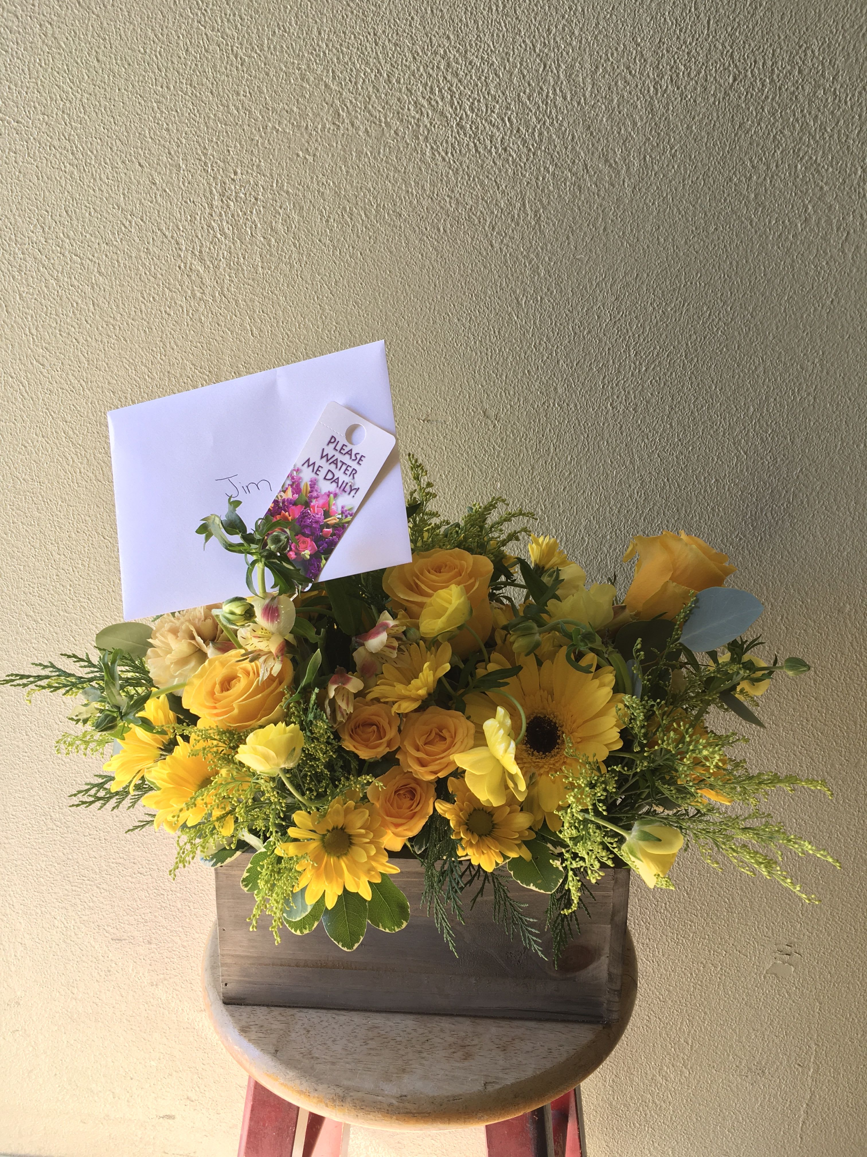 A Box of Sunshine