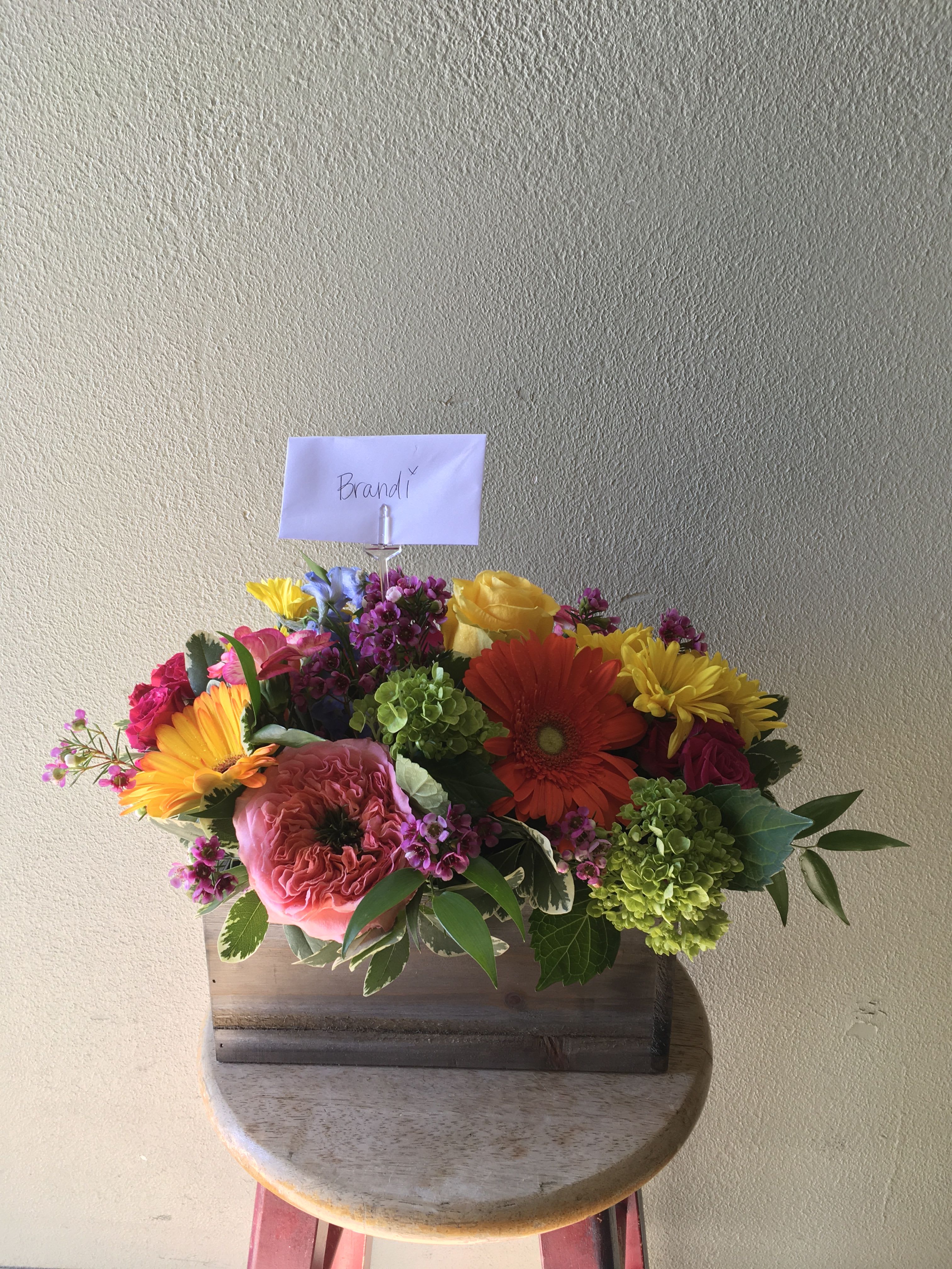Bright and cheerful designers choice.