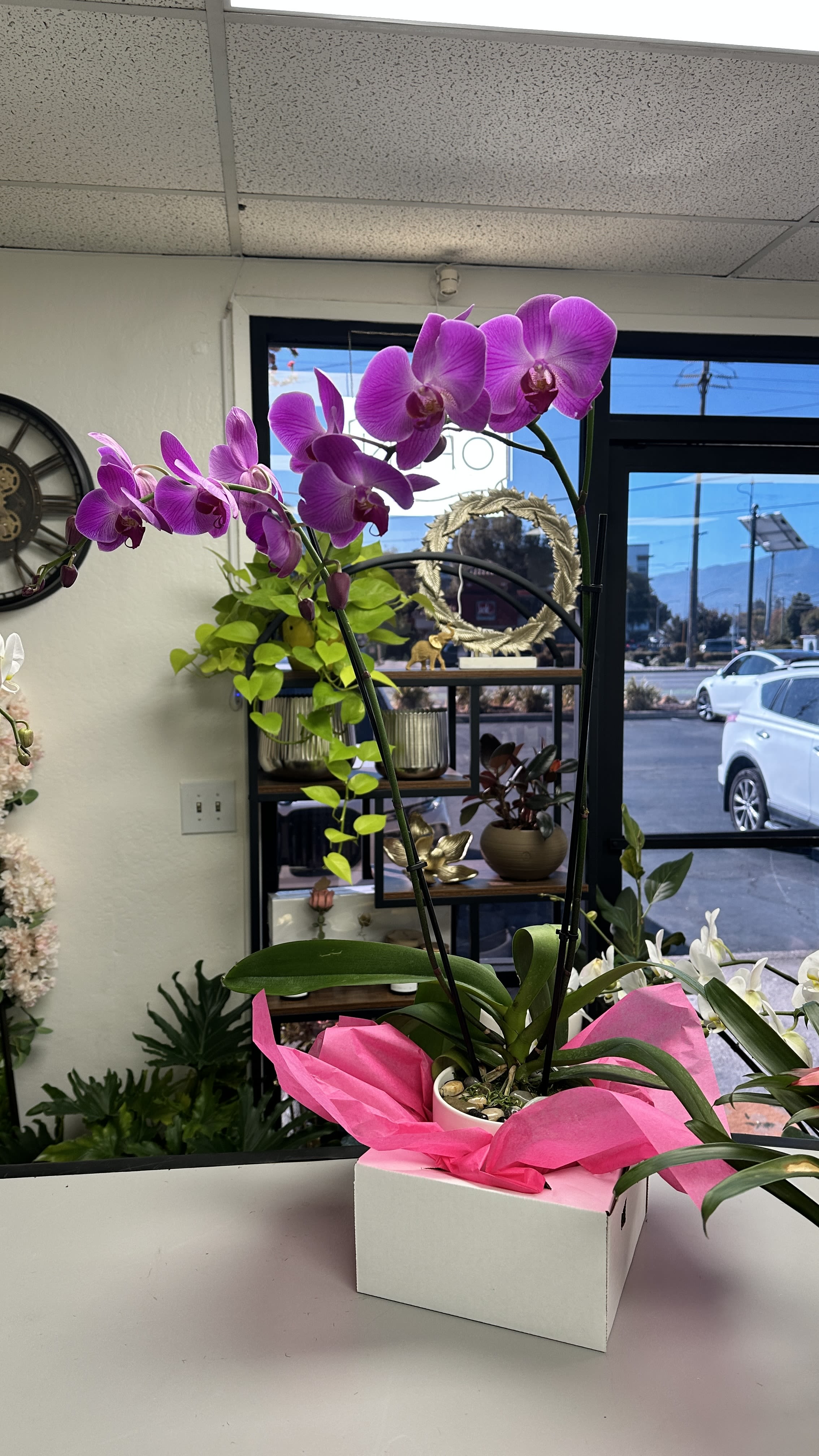 Pure Elegance – Purple Orchid Arrangement