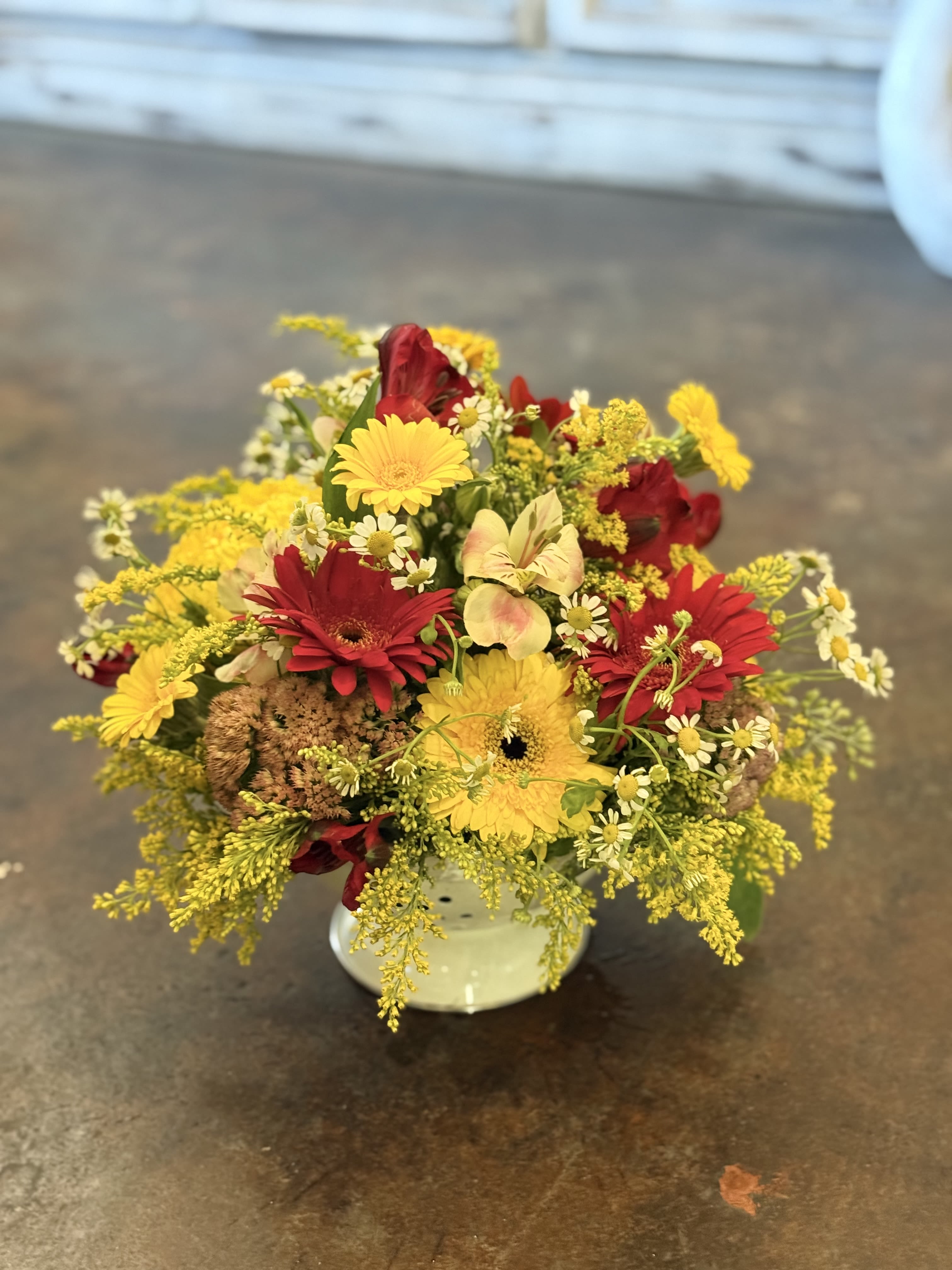 Warm Gerberas