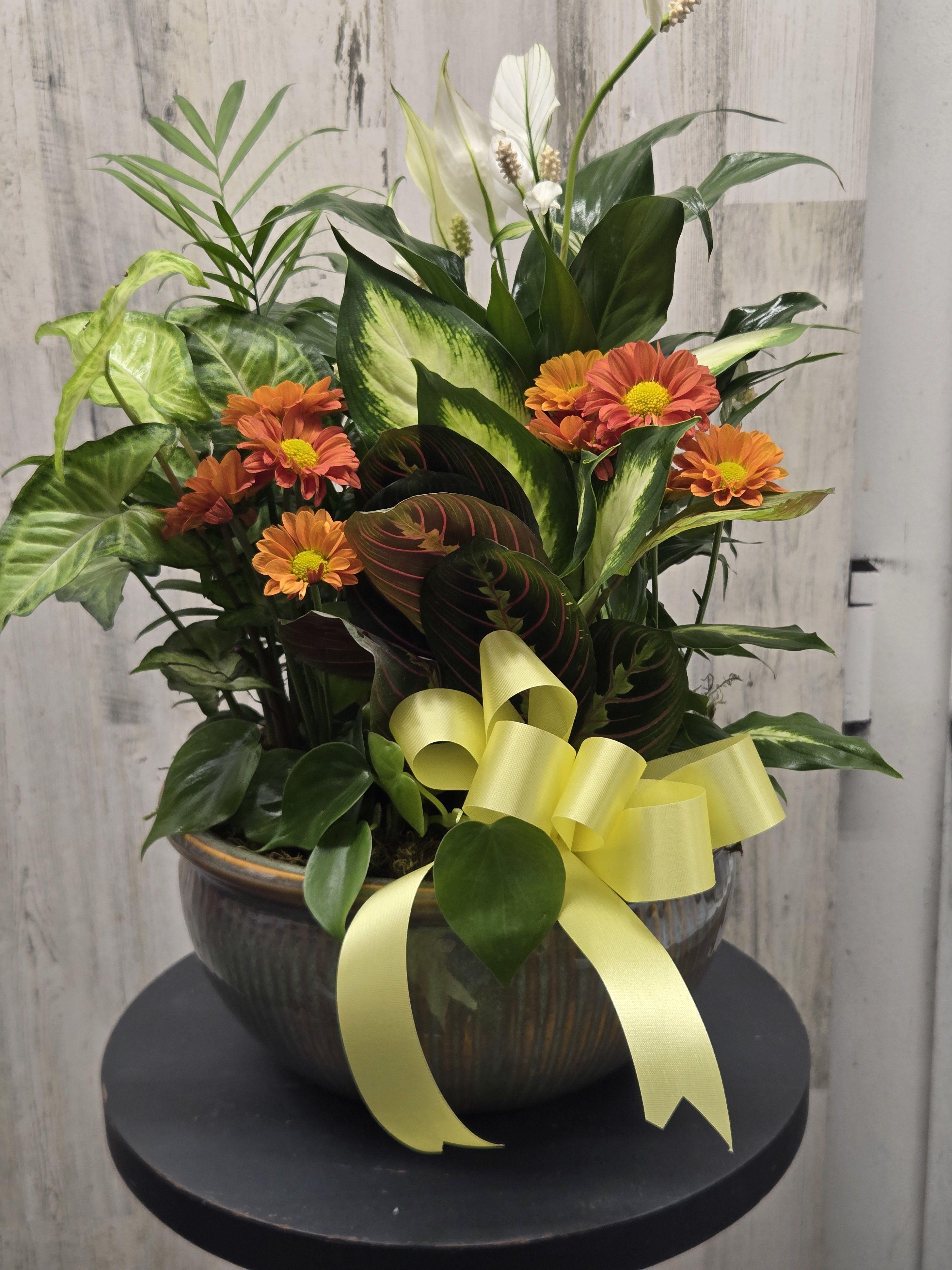 10 in Medium Ceramic Dish Garden