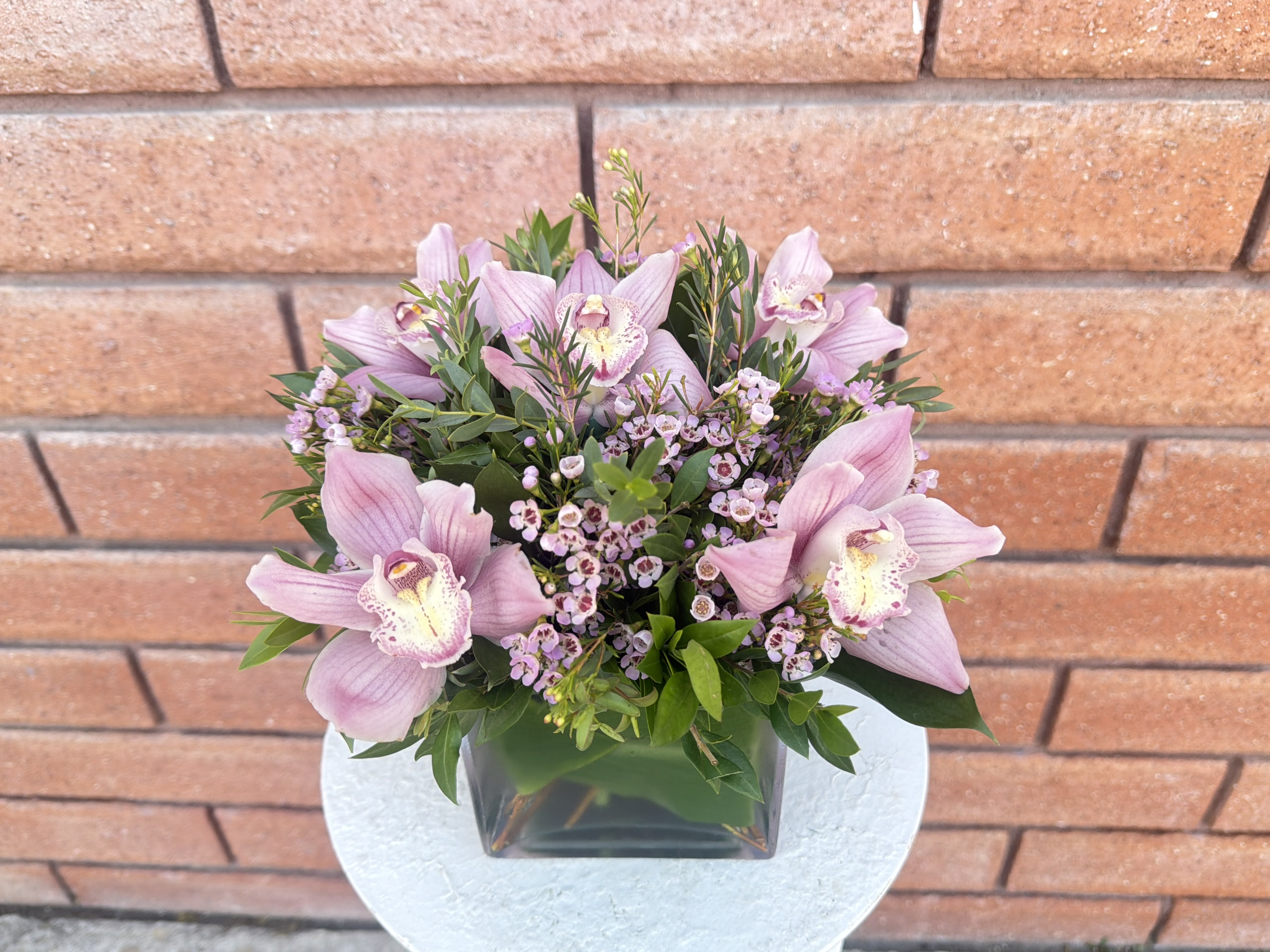 Cymbidium Orchid Cube