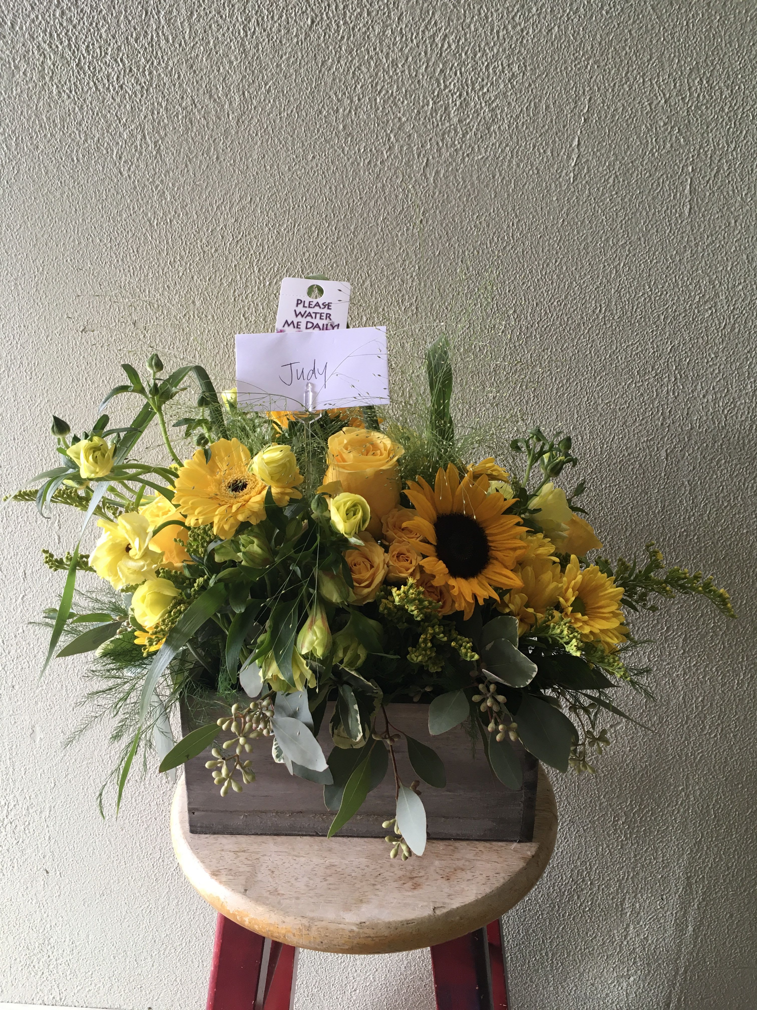 A Box of Sunshine