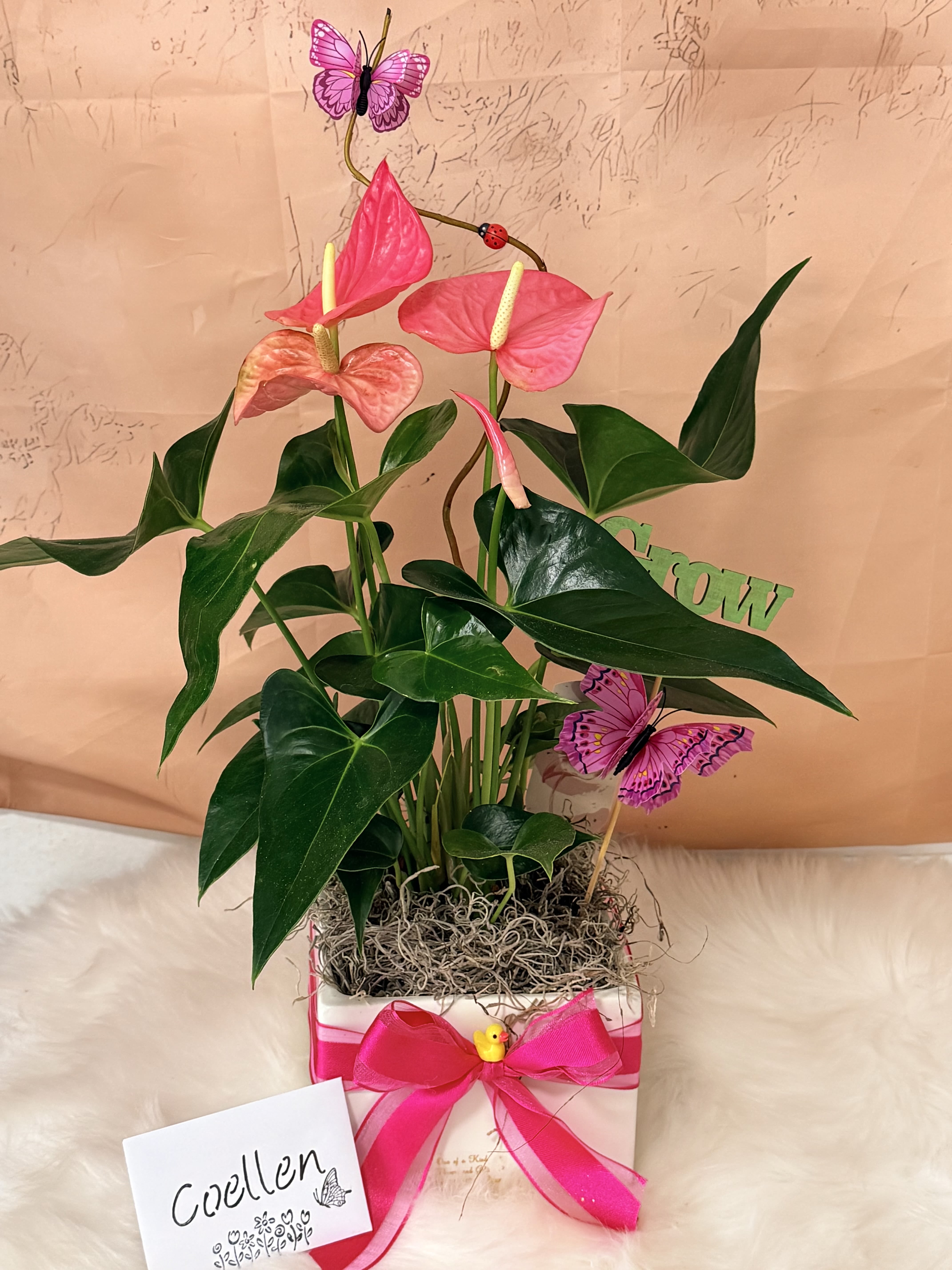 Anthurium