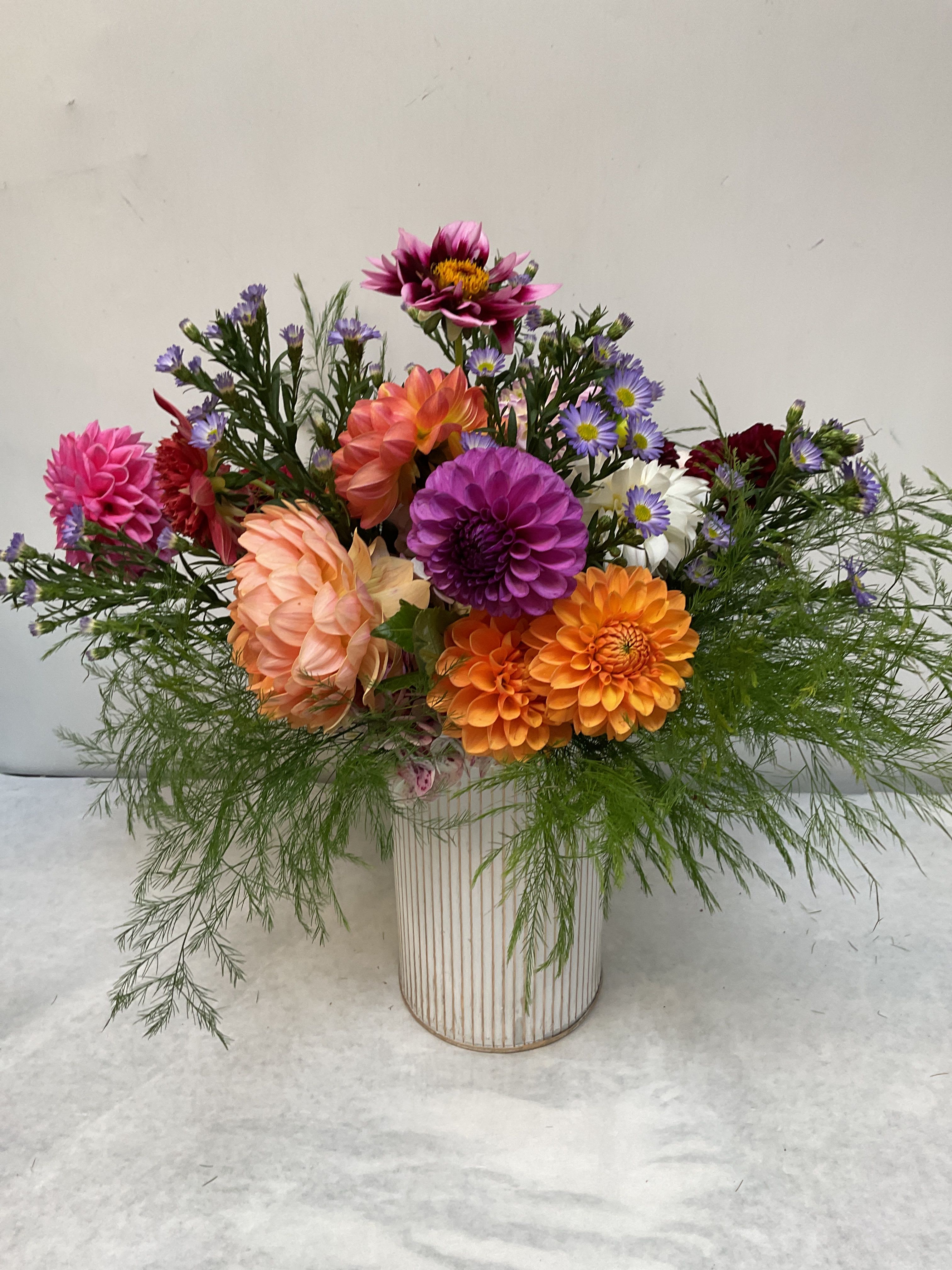 Dahlia Delight