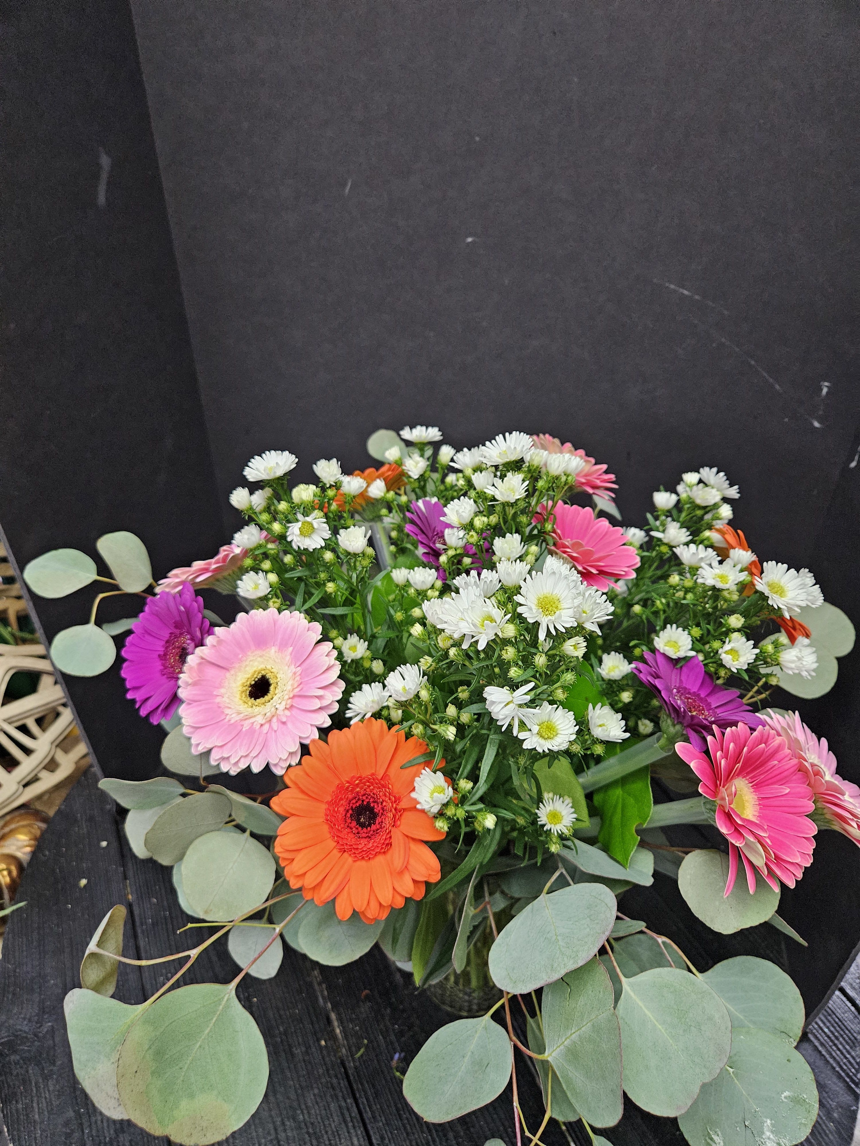 Summer Gerbera