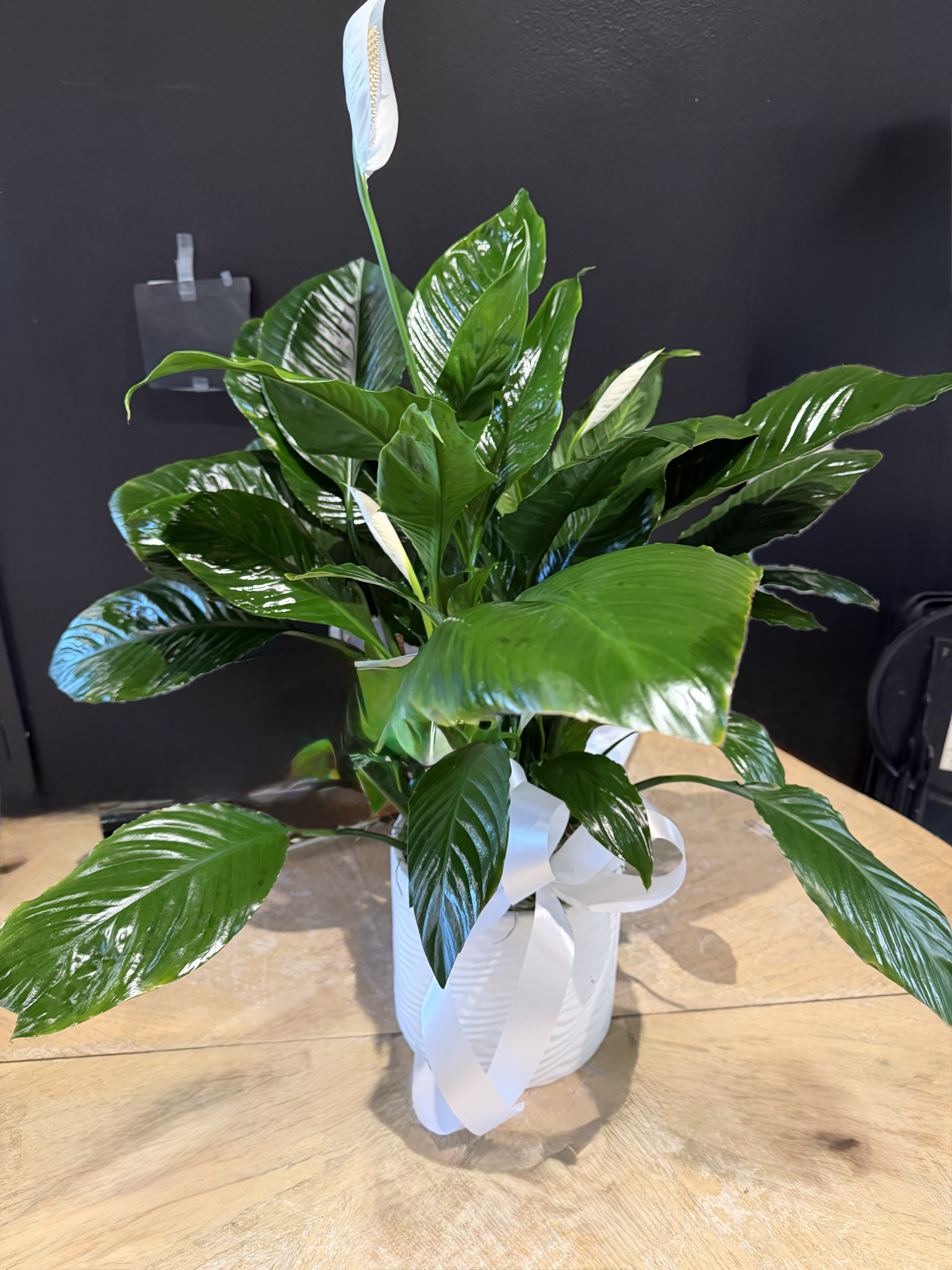 Peace Lily Houseplant