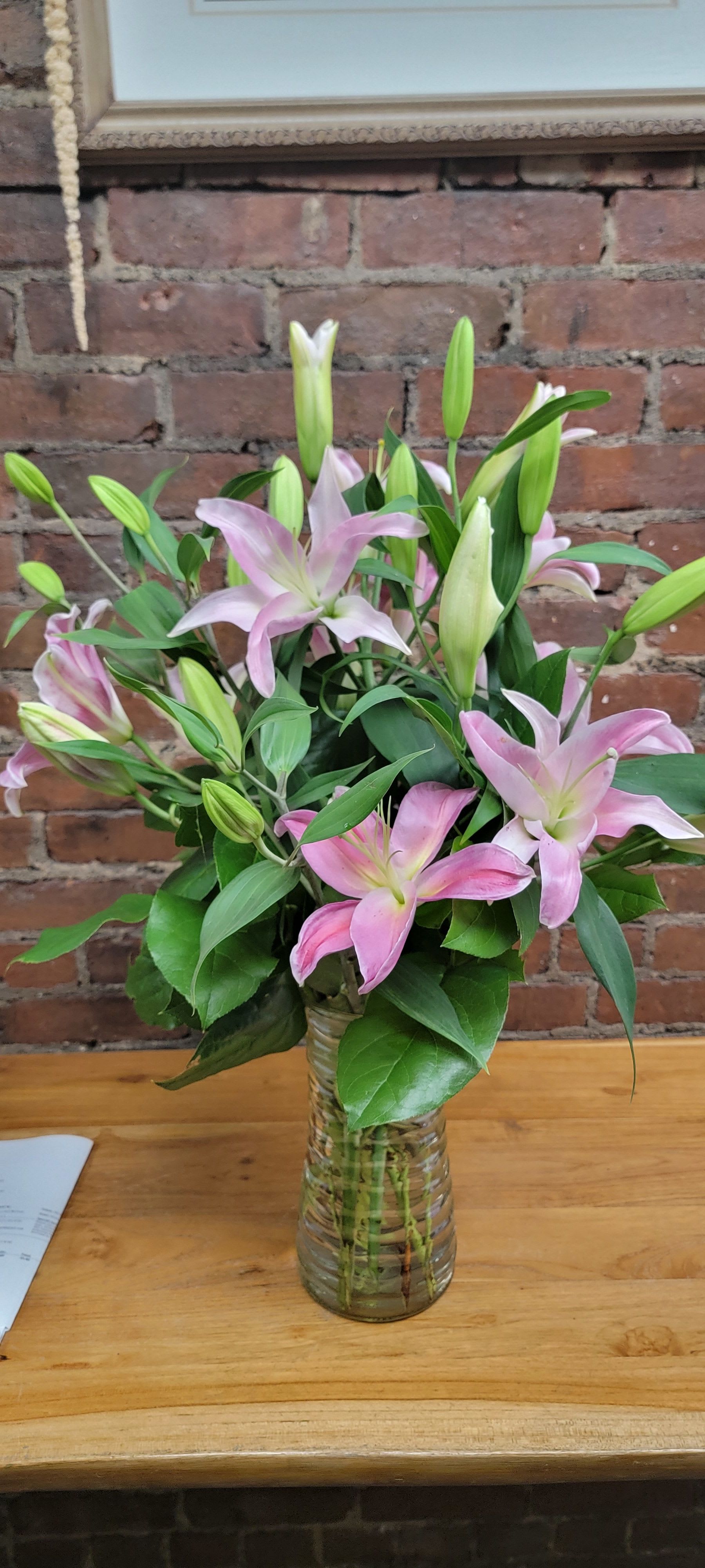 Splendent Stargazers by BloomNation™