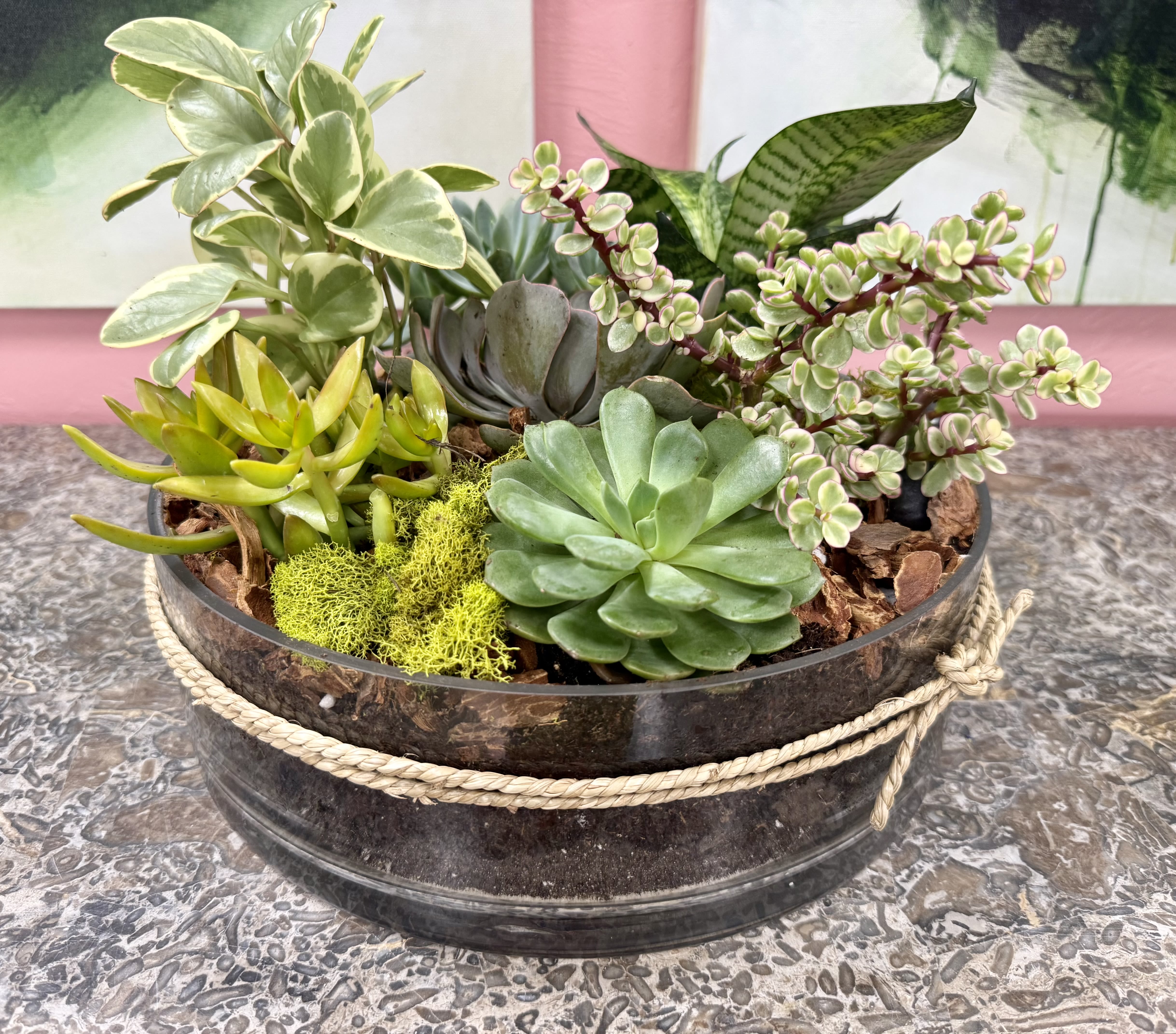Florida Grown Succulent Garden