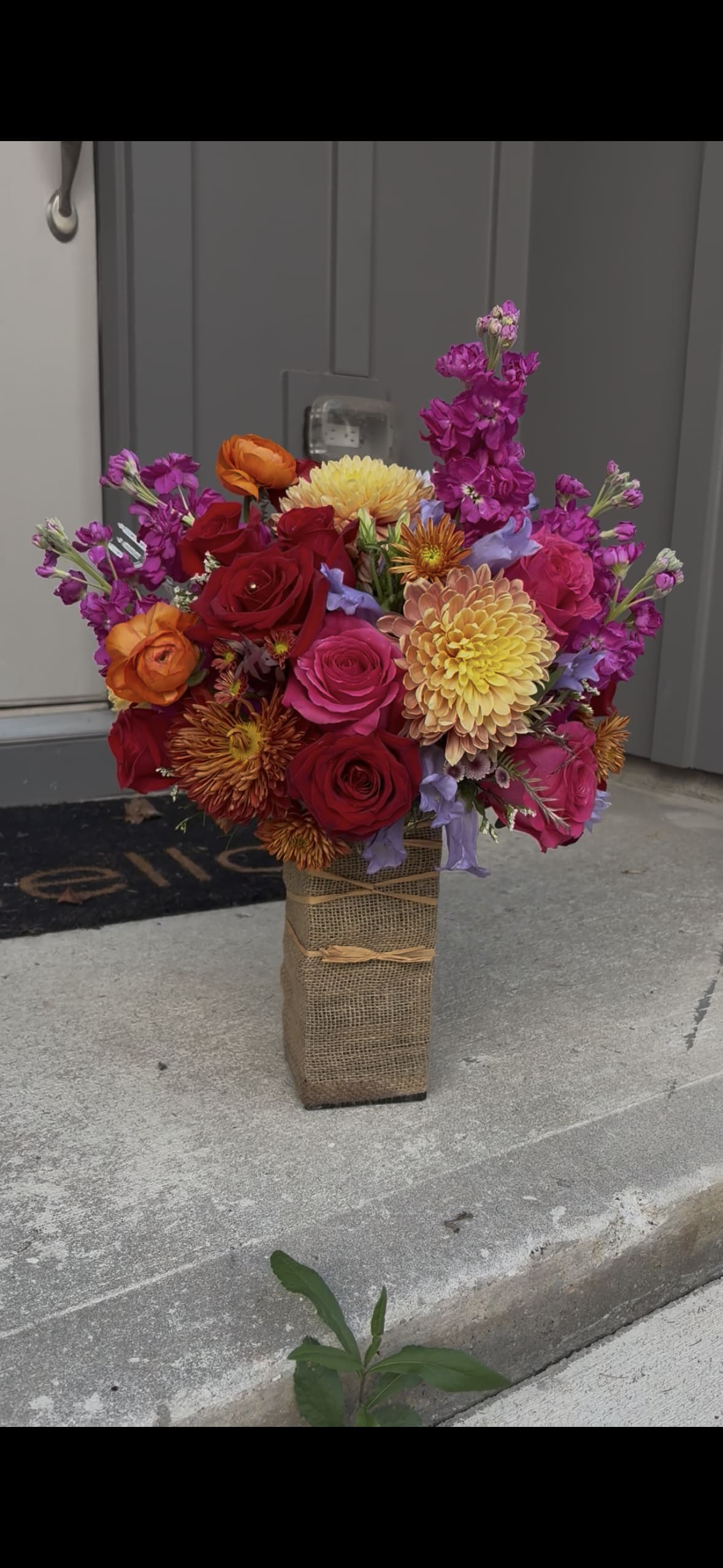 Teleflora's Fuchsia Fantasy