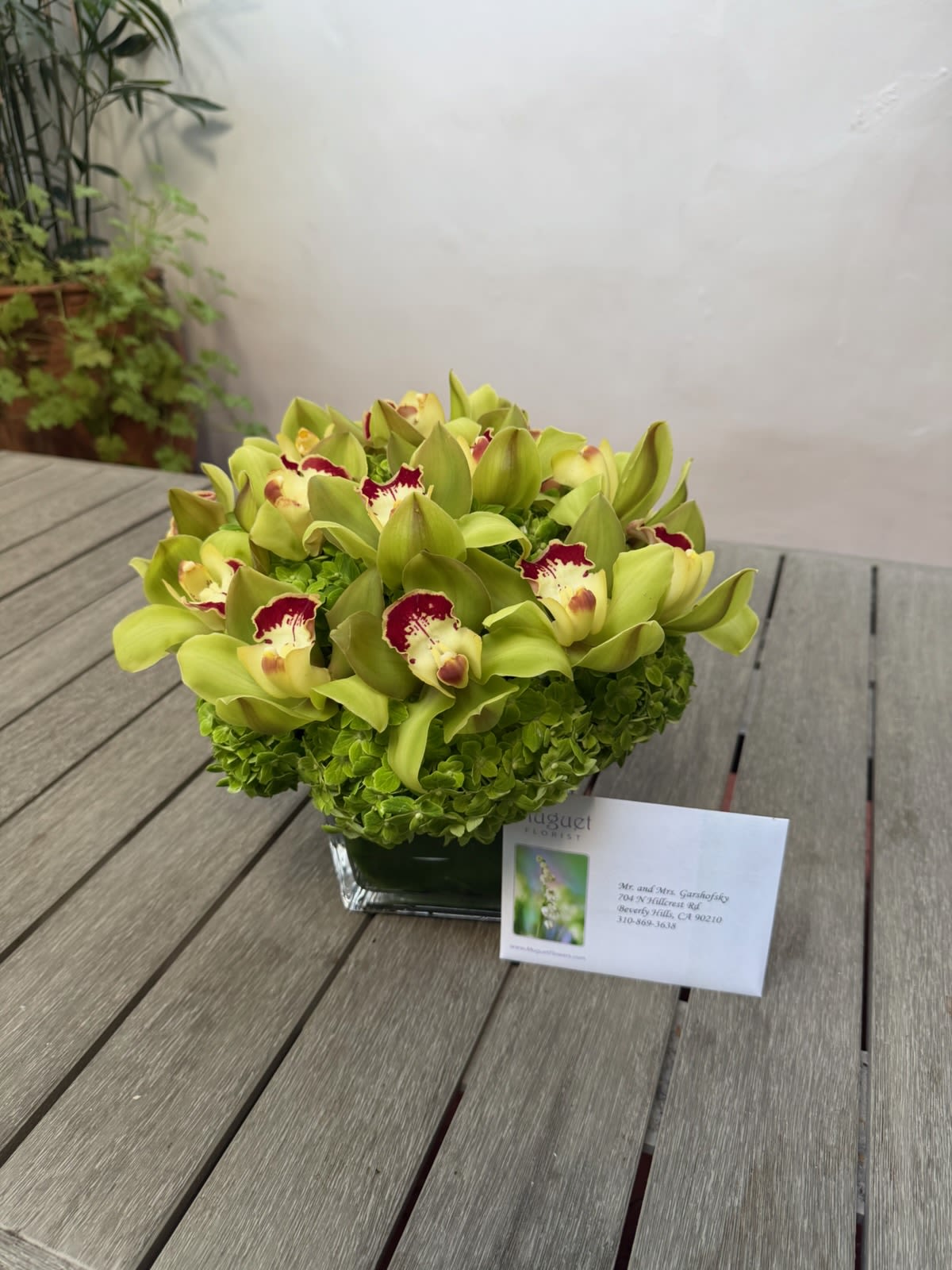 Lush Serenity: Green Cymbidium Orchids and Hydrangeas Arrangement 
