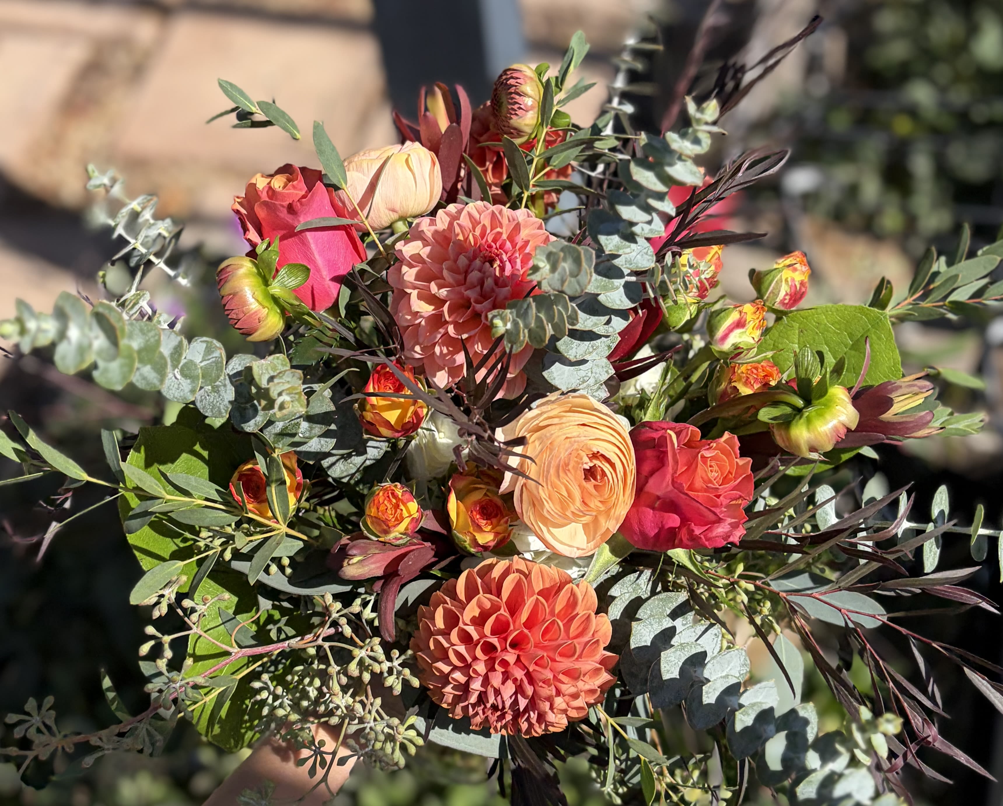 Fall Blooms and Foliage