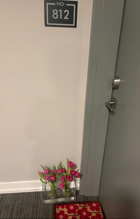 DUET OF TULIPS