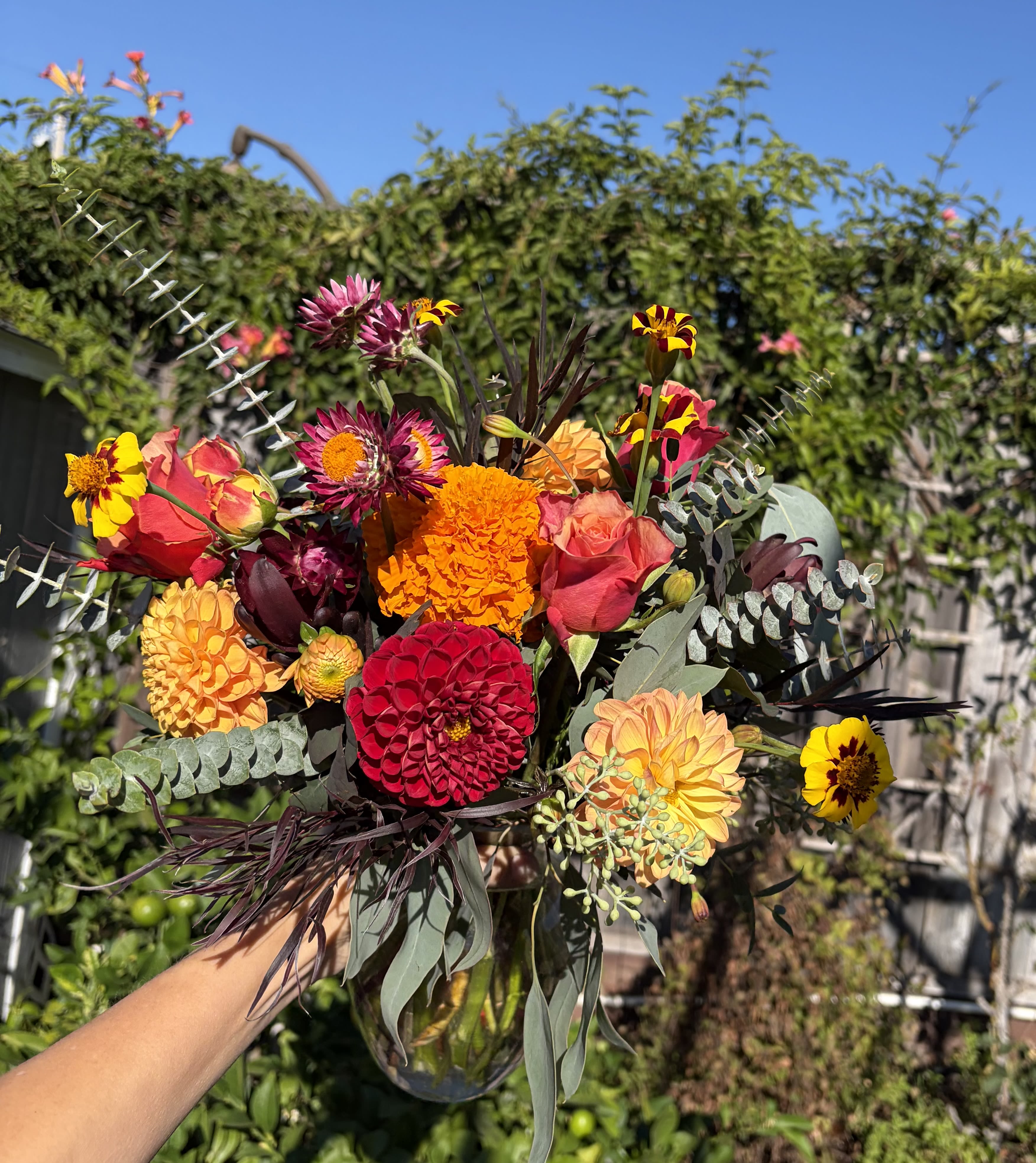 Fall Blooms and Foliage