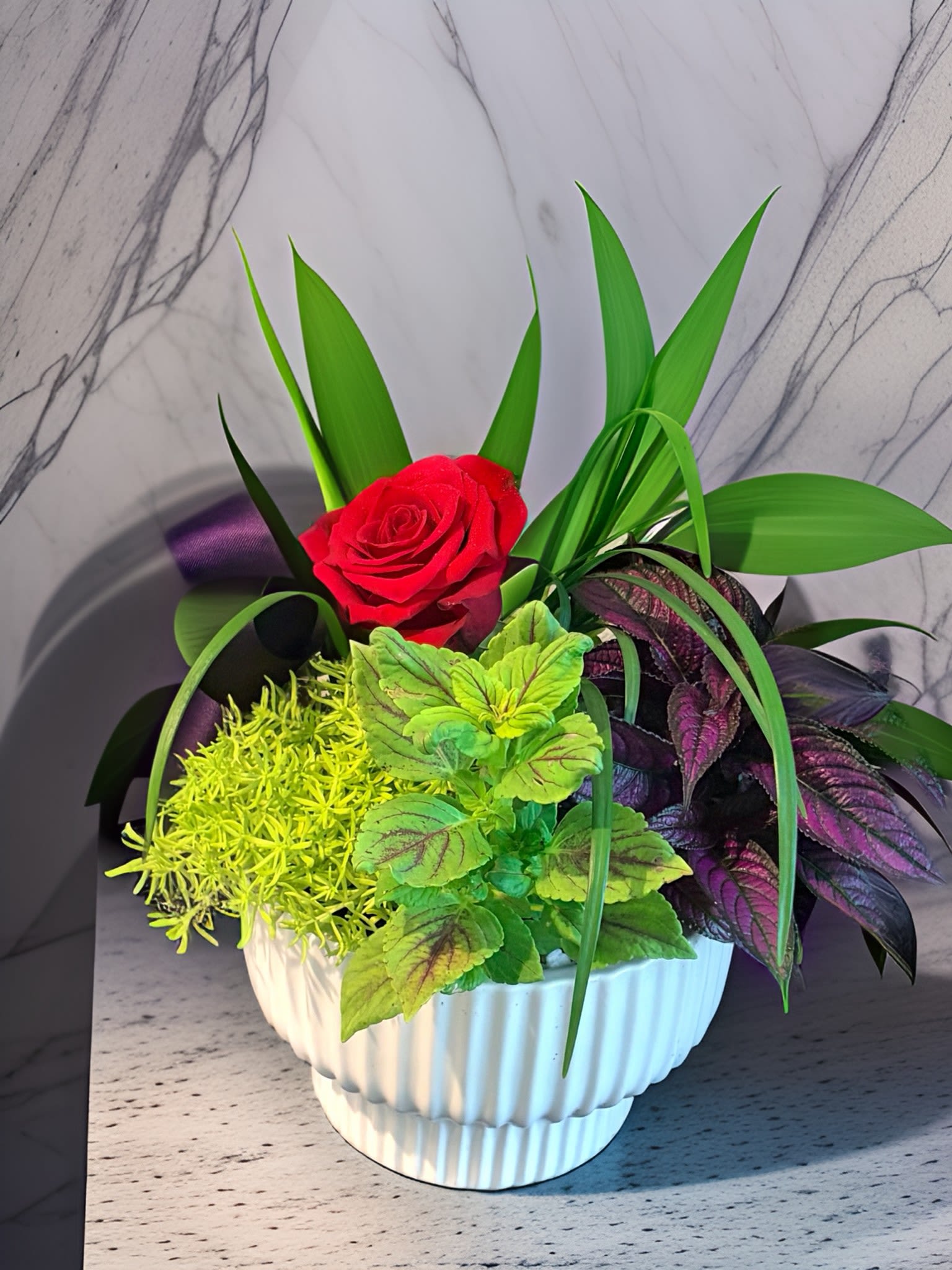 Evergreen Dish Garden